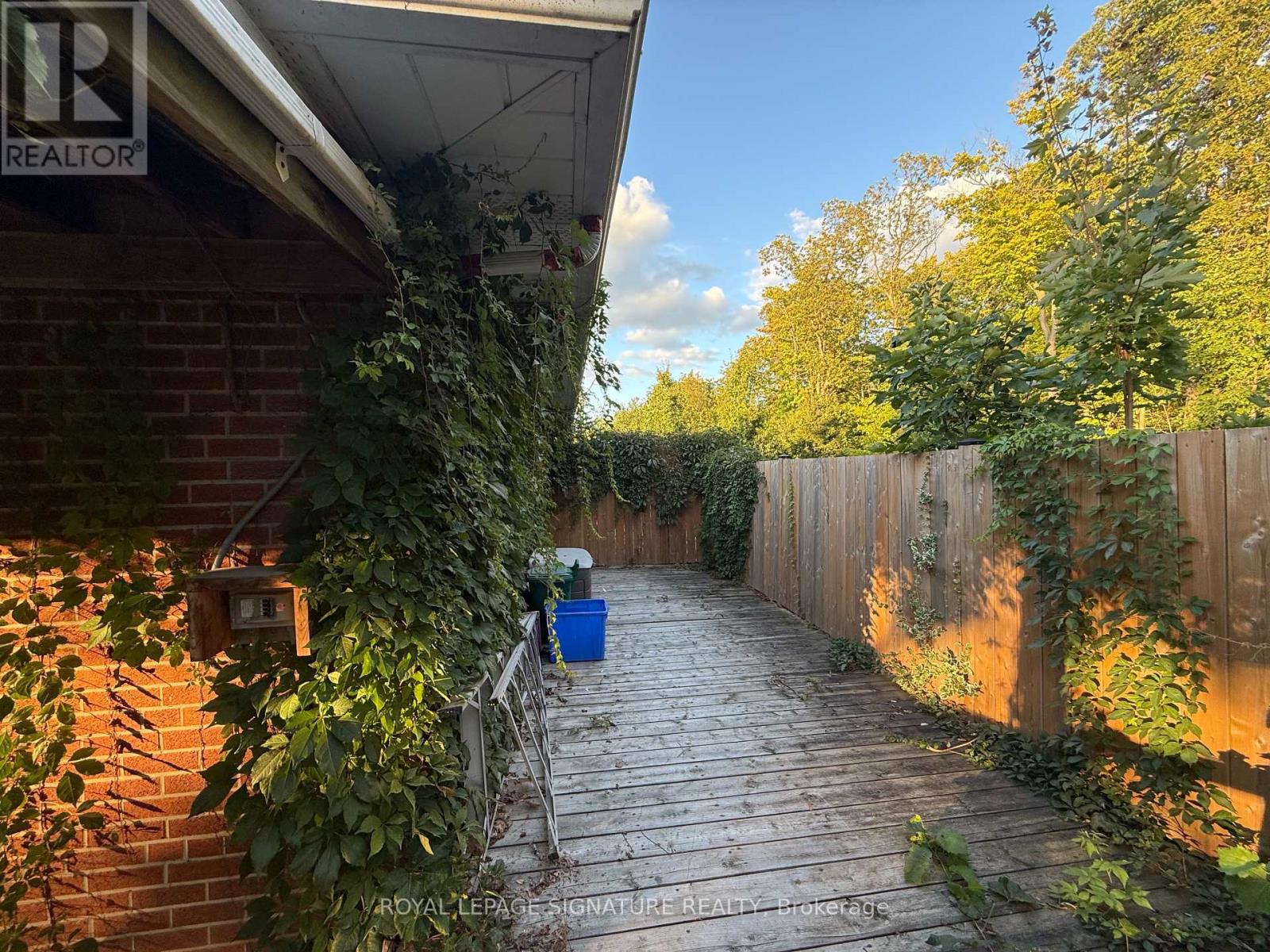 Lower - 38 Burnhamthorpe Road W, Oakville, Ontario  L6M 4K4 - Photo 4 - W12486857