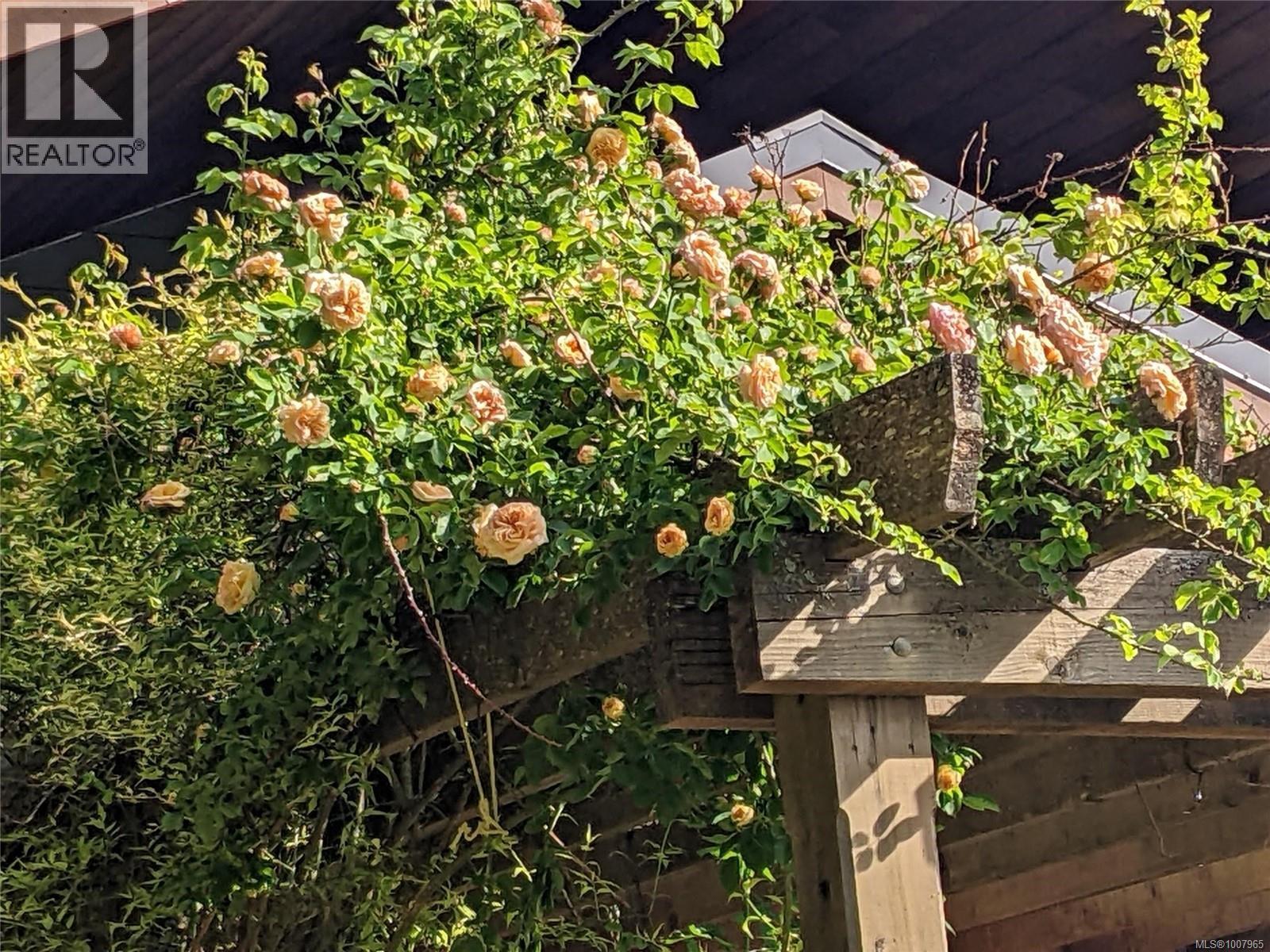 248 Suneagle Dr, Salt Spring, British Columbia  V8K 1E5 - Photo 65 - 1007965