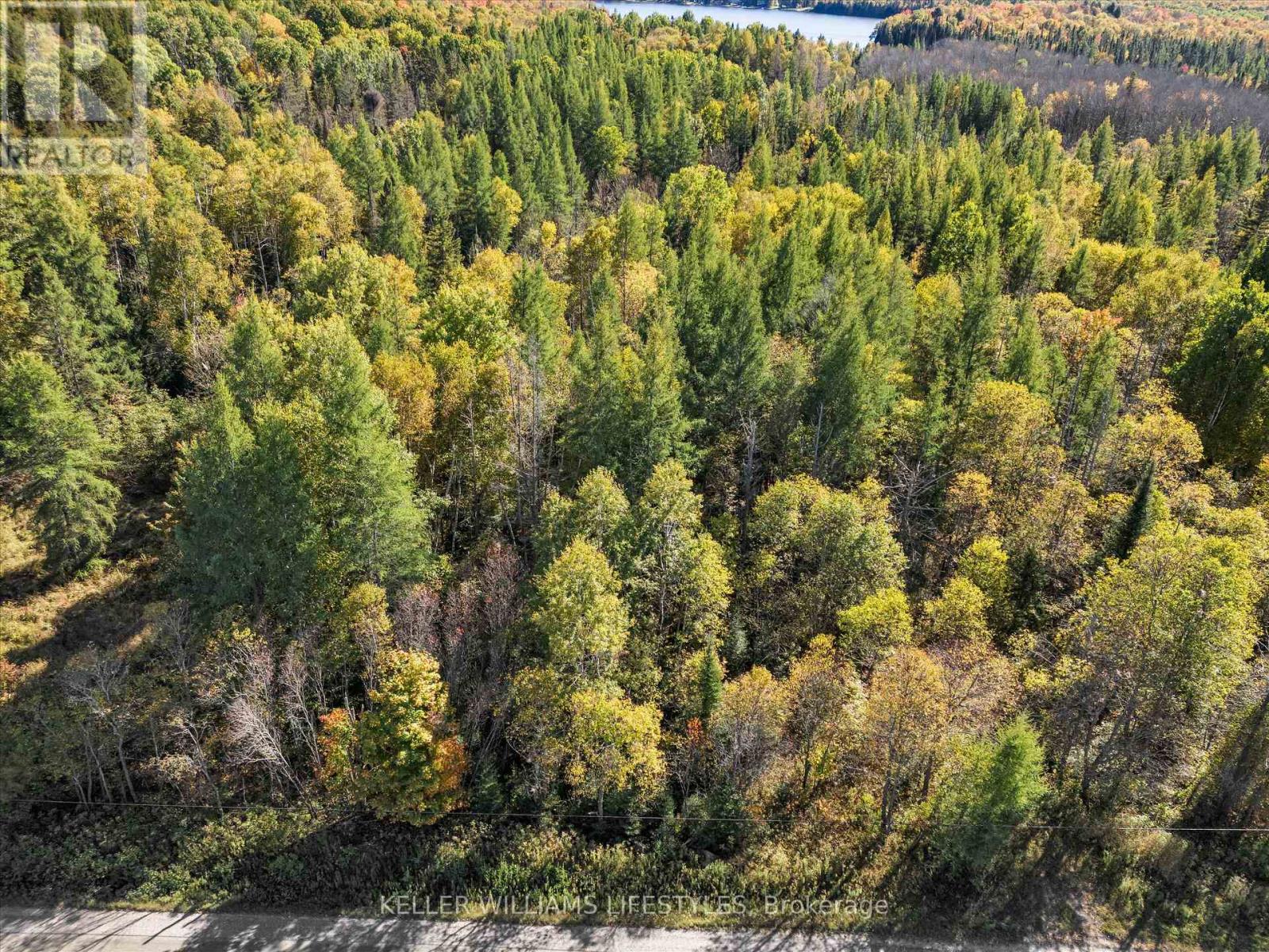 0 Balsam Lane, Nipissing, Ontario  P0H 1Z0 - Photo 14 - X12486923