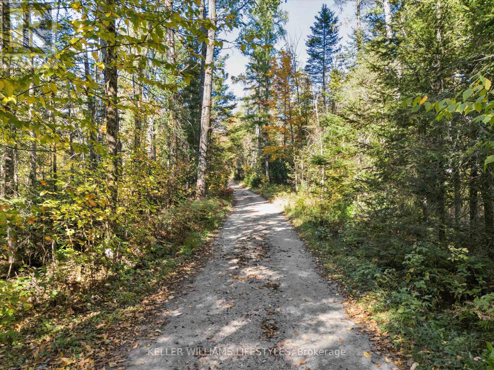 0 Balsam Lane, Nipissing, Ontario  P0H 1Z0 - Photo 15 - X12486923