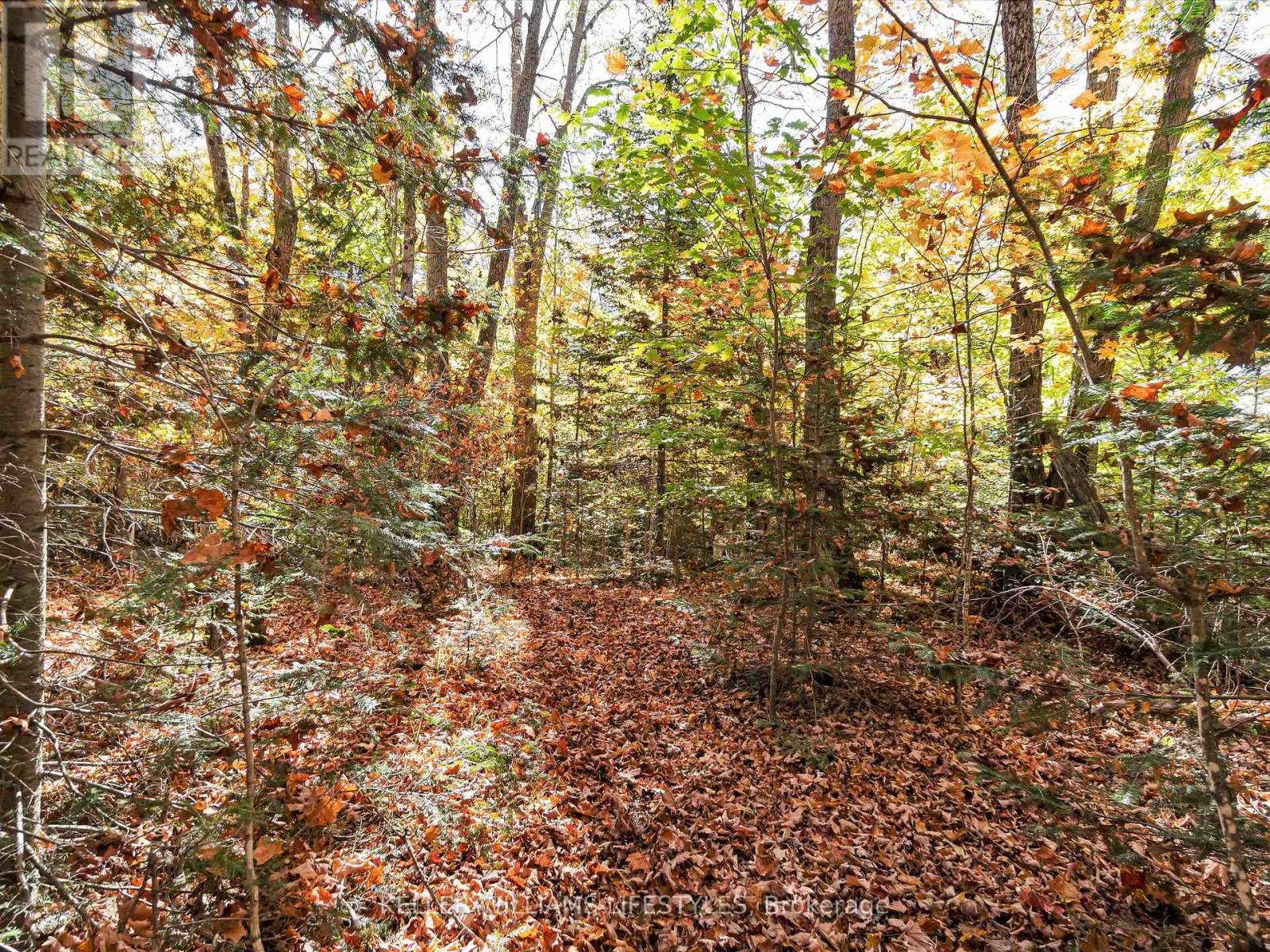 0 Balsam Lane, Nipissing, Ontario  P0H 1Z0 - Photo 18 - X12486923