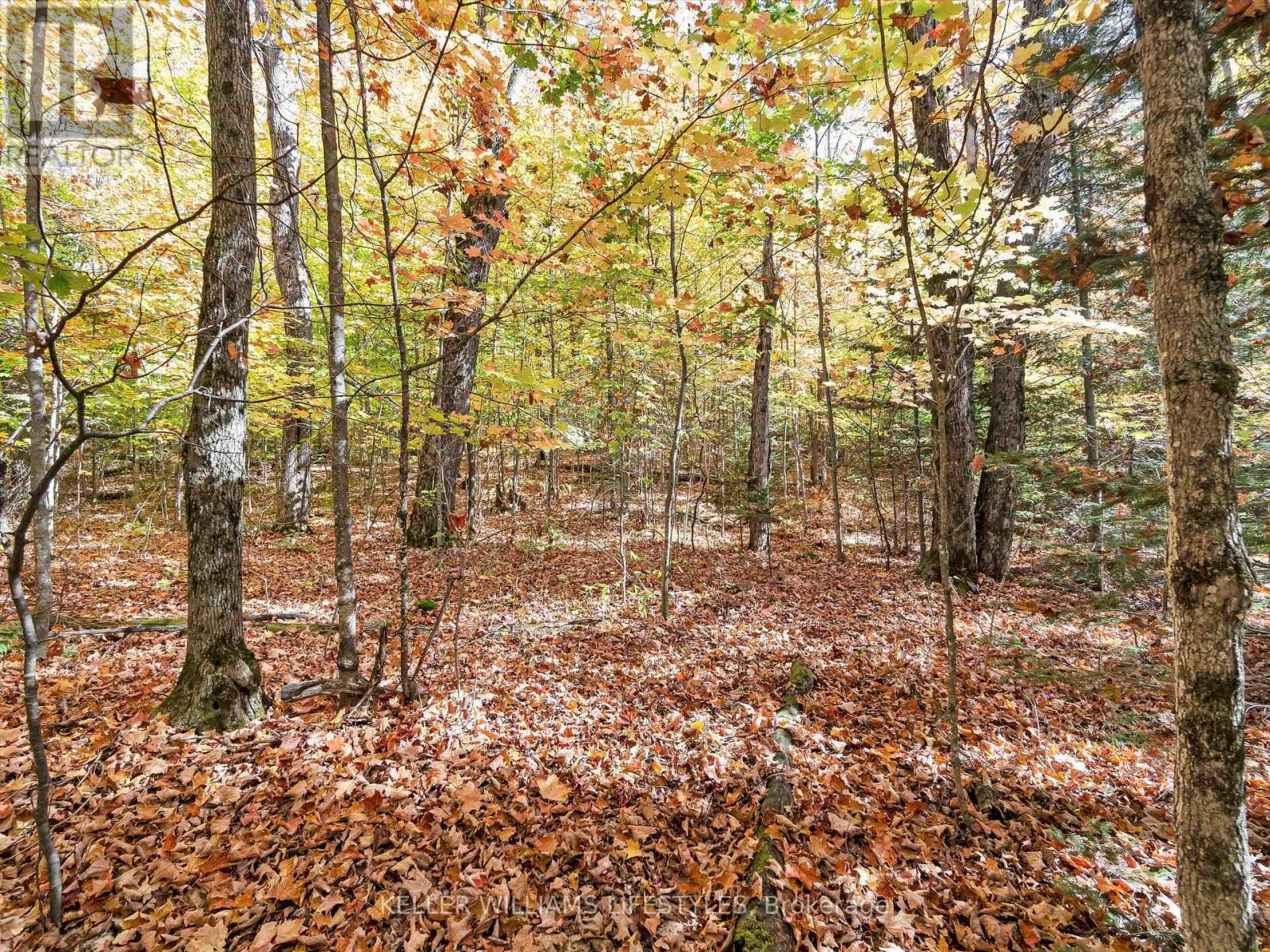 0 Balsam Lane, Nipissing, Ontario  P0H 1Z0 - Photo 19 - X12486923