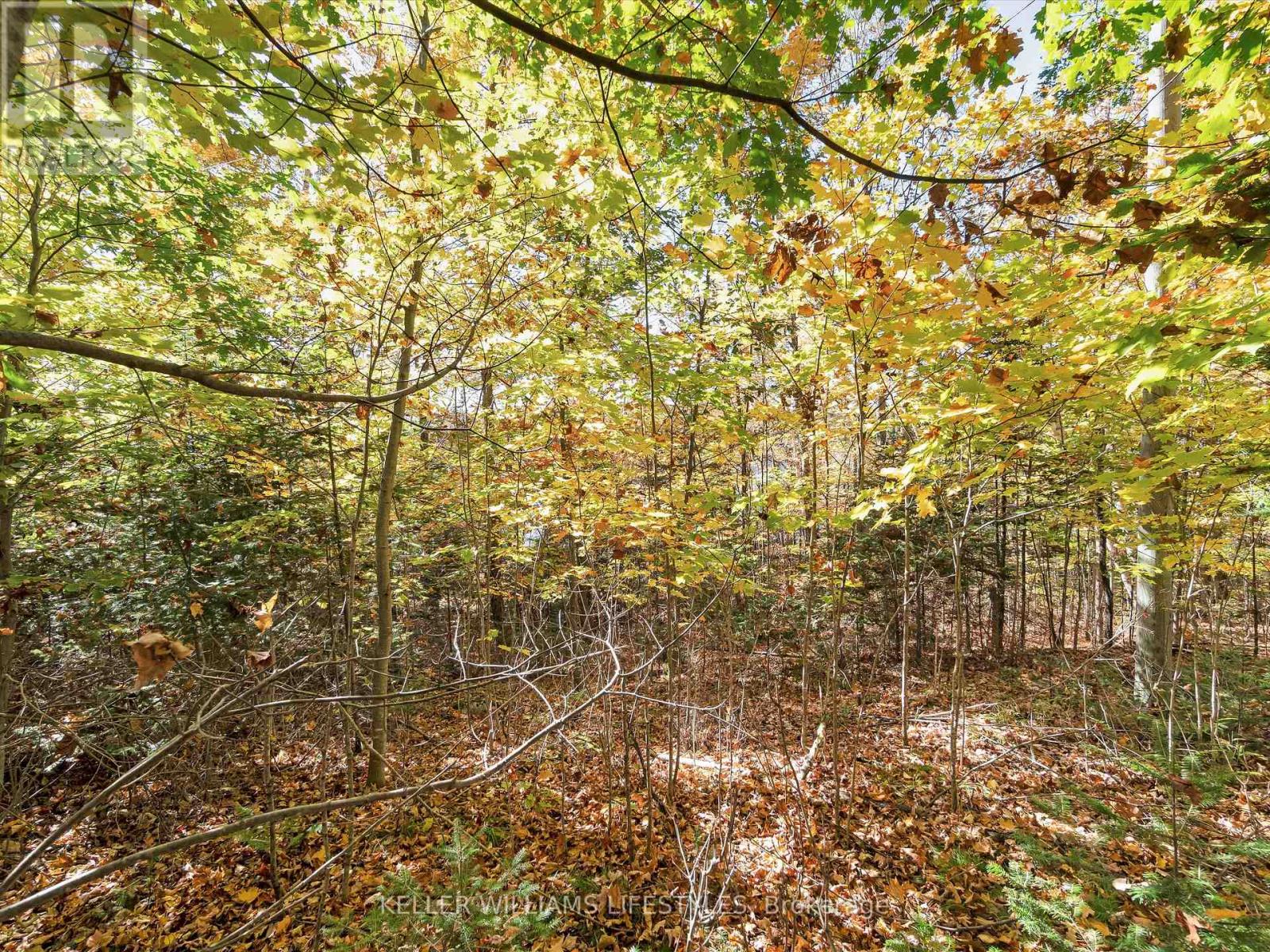0 Balsam Lane, Nipissing, Ontario  P0H 1Z0 - Photo 20 - X12486923