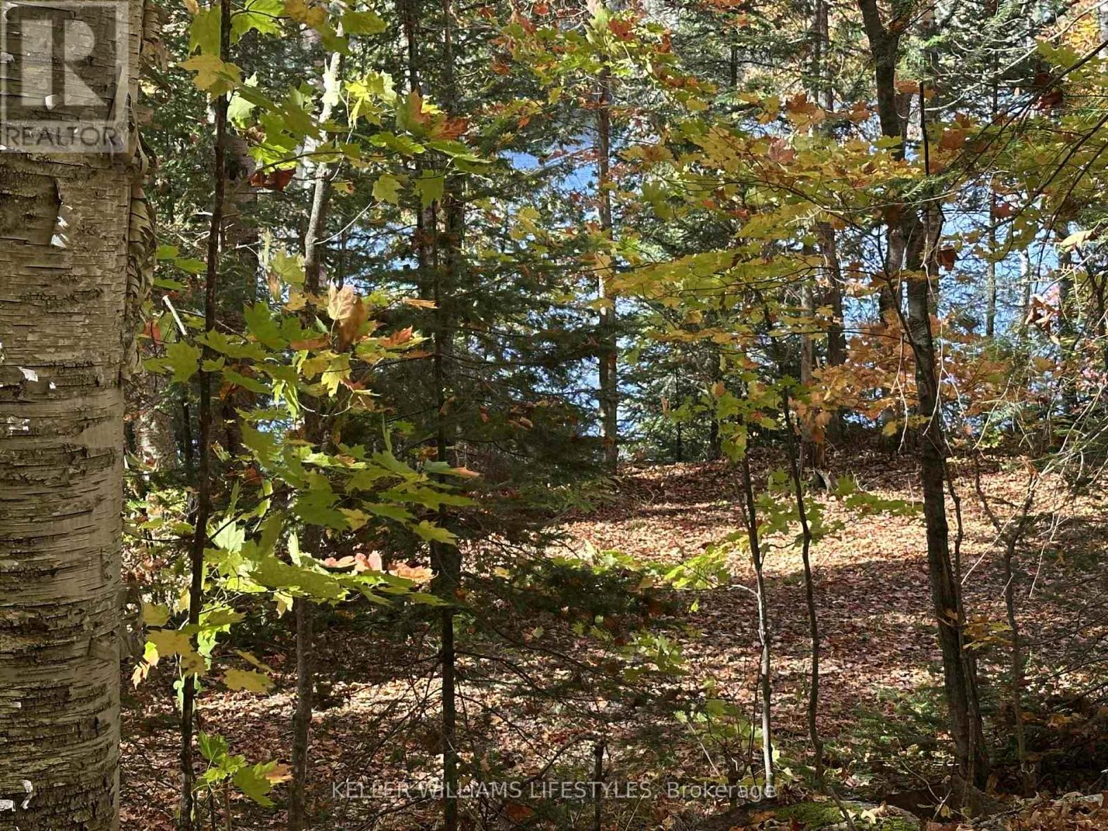 0 Balsam Lane, Nipissing, Ontario  P0H 1Z0 - Photo 22 - X12486923