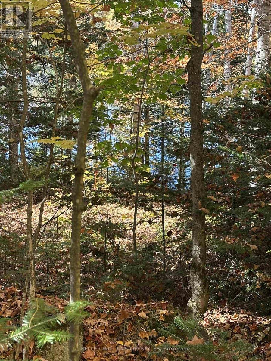 0 Balsam Lane, Nipissing, Ontario  P0H 1Z0 - Photo 23 - X12486923