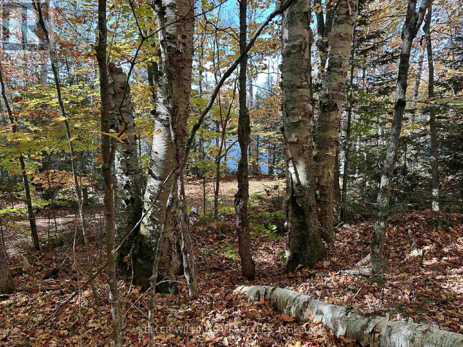 0 Balsam Lane, Nipissing, Ontario  P0H 1Z0 - Photo 24 - X12486923