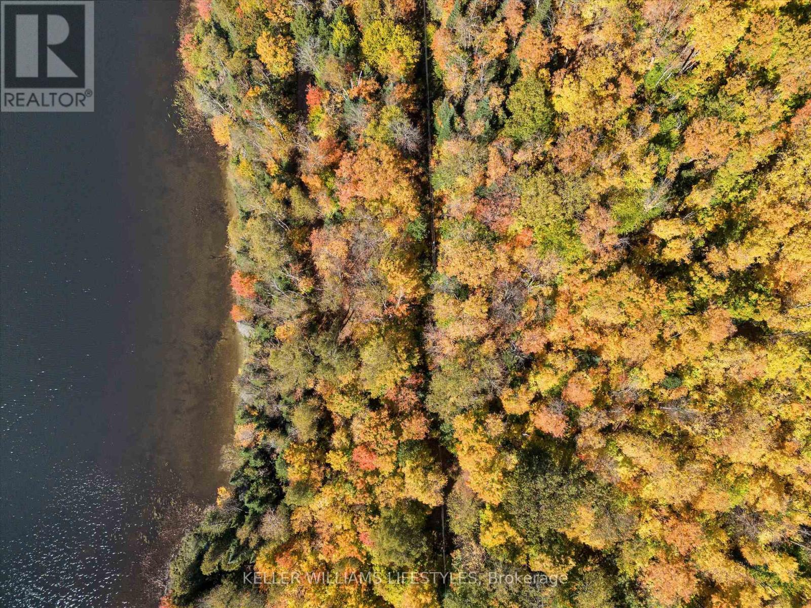 0 Balsam Lane, Nipissing, Ontario  P0H 1Z0 - Photo 3 - X12486923