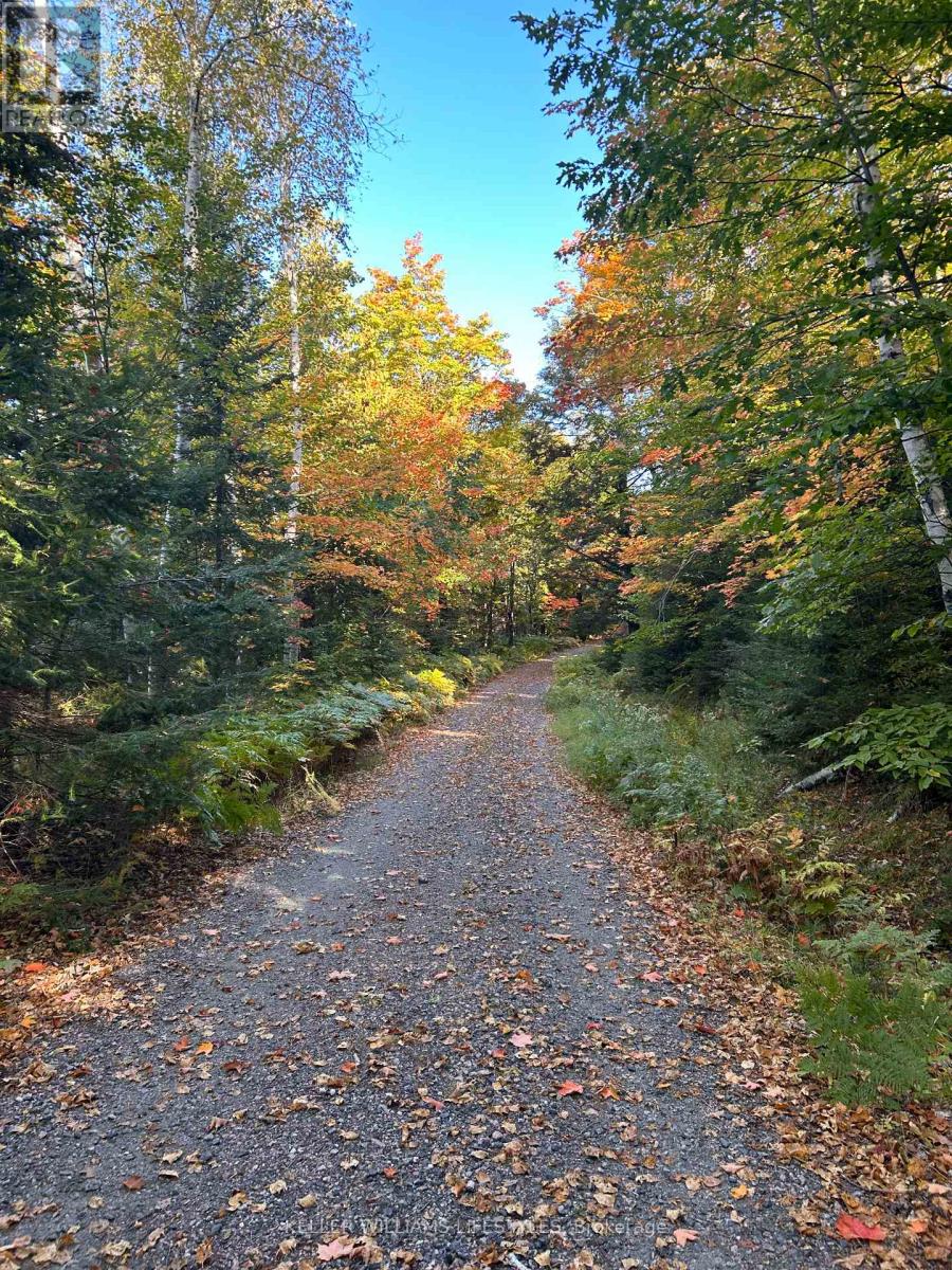 0 Balsam Lane, Nipissing, Ontario  P0H 1Z0 - Photo 4 - X12486923