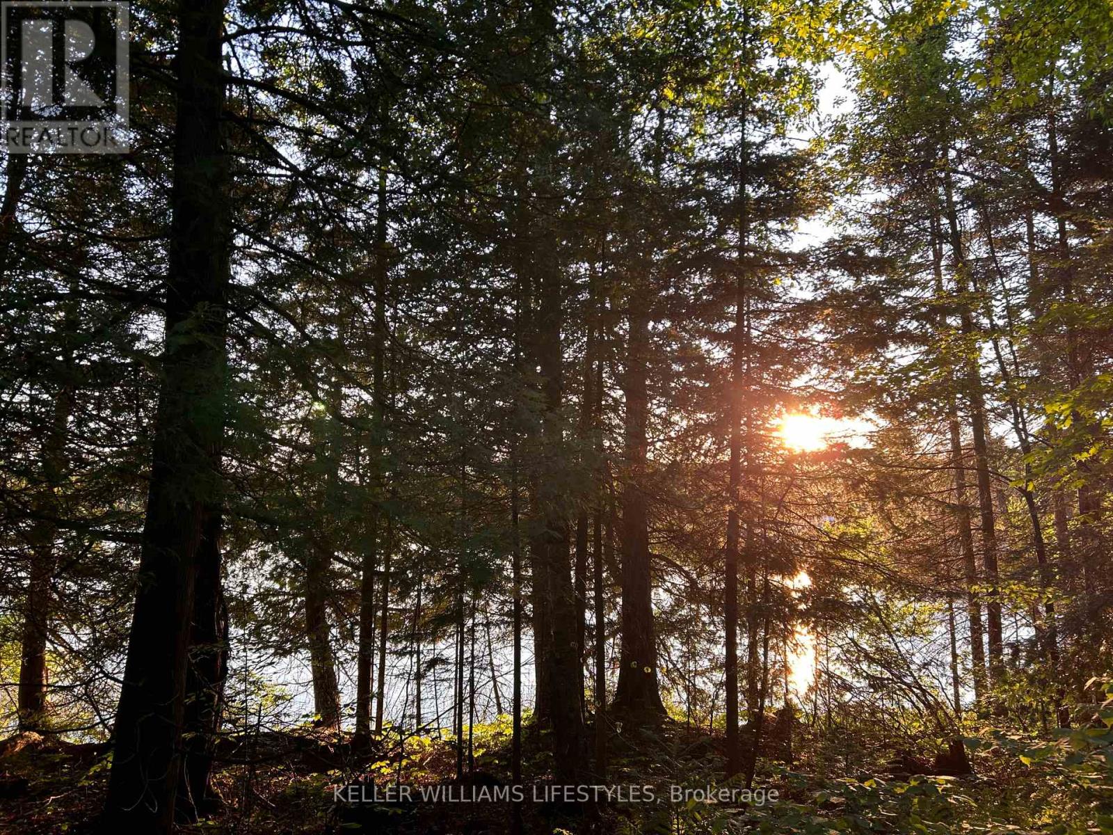 0 Balsam Lane, Nipissing, Ontario  P0H 1Z0 - Photo 5 - X12486923