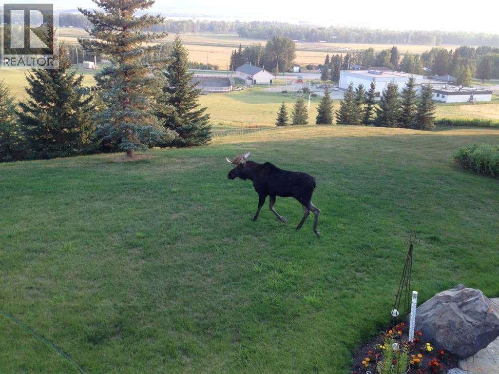 224035 318 Avenue W, Rural Foothills County, Alberta  T0L 1K0 - Photo 46 - A2207297