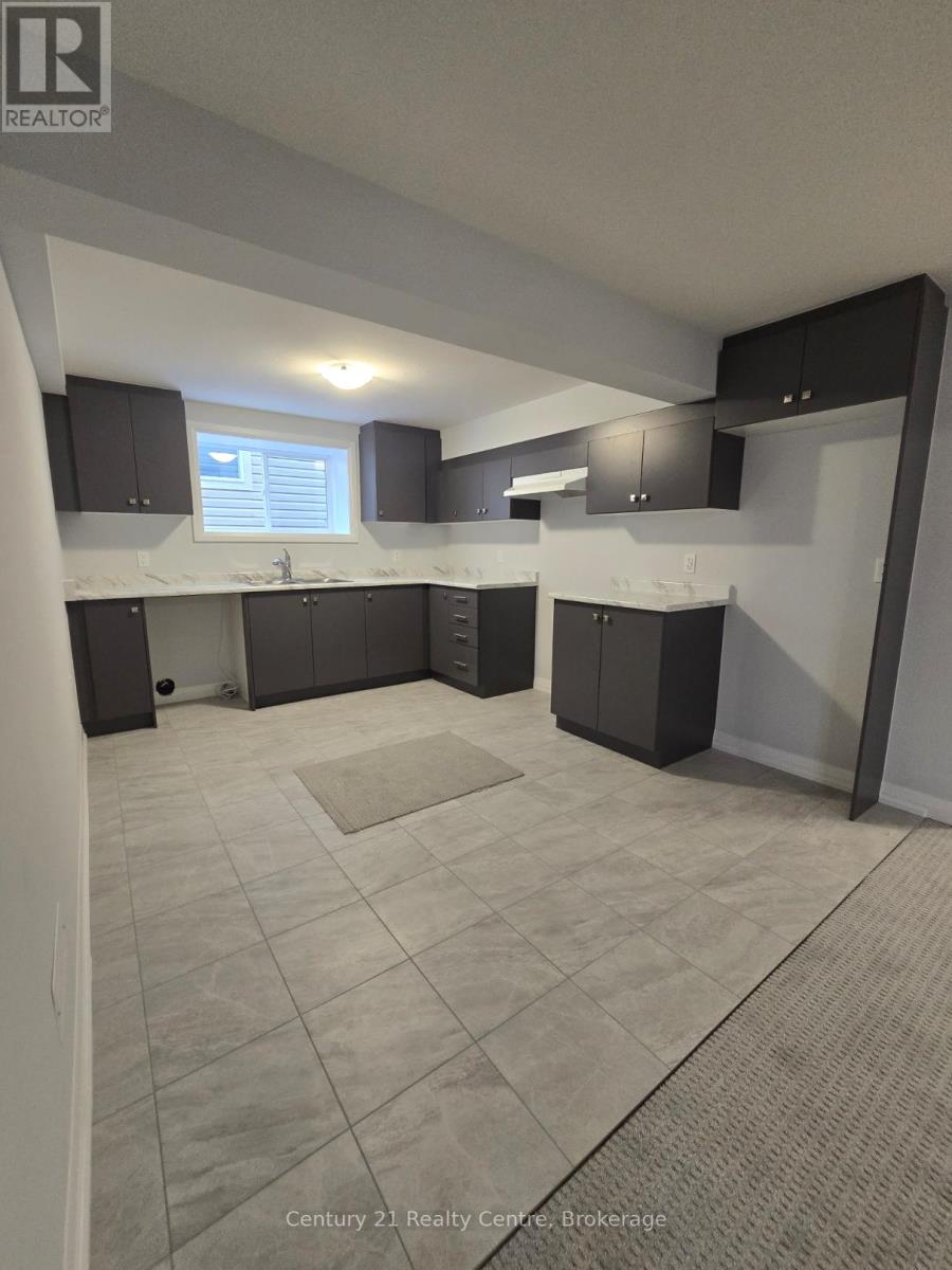 (Basement) - 403 Louisa Street, Fort Erie, Ontario  L2A 0H5 - Photo 5 - X12486937