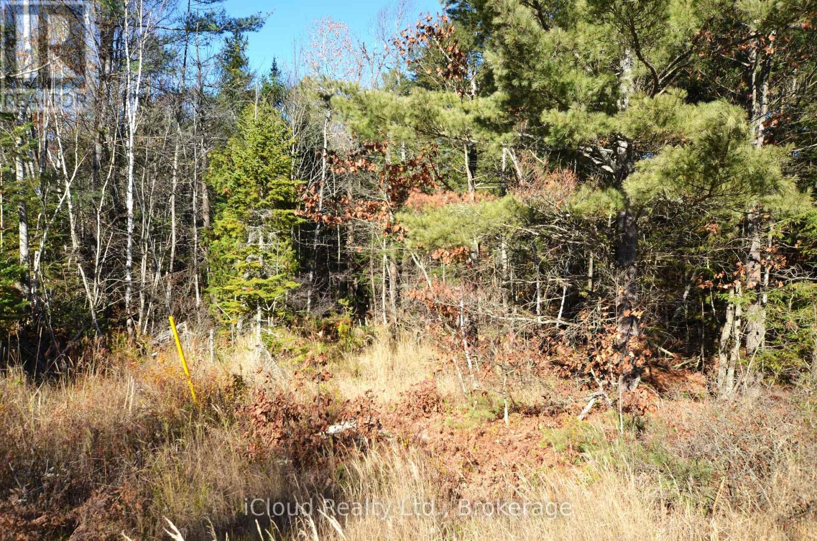 3 And 2 Parker Bay Road, Whitestone, Ontario  P0G 1G0 - Photo 19 - X12485040