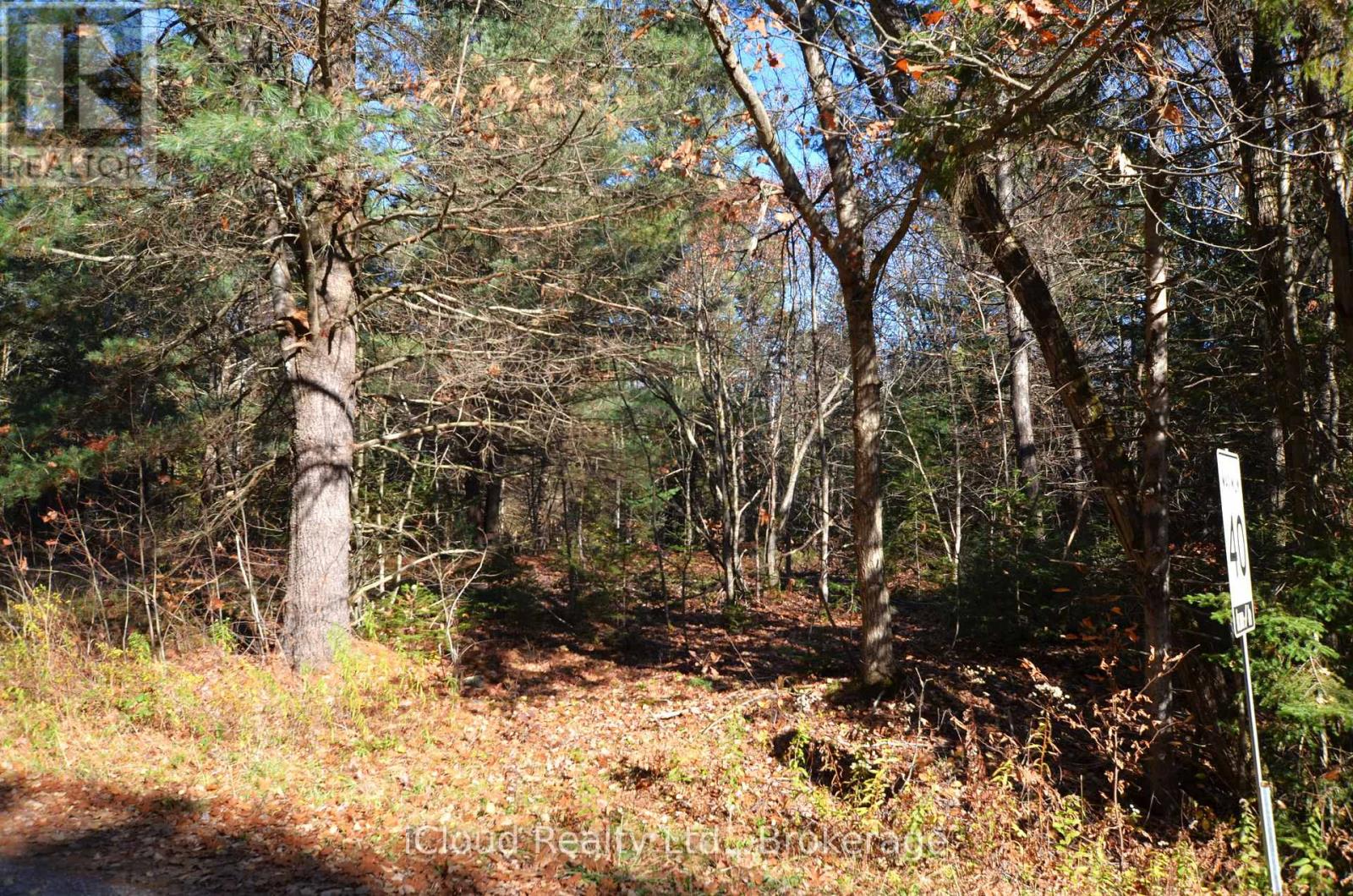 3 And 2 Parker Bay Road, Whitestone, Ontario  P0G 1G0 - Photo 20 - X12485040