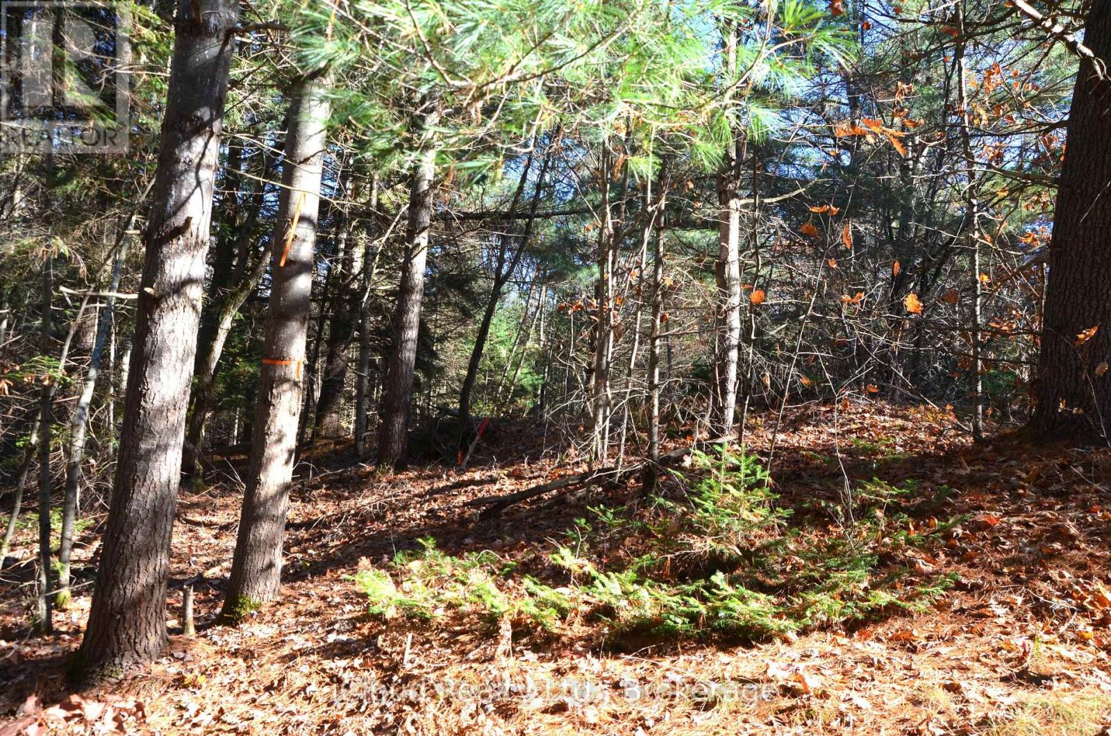 3 And 2 Parker Bay Road, Whitestone, Ontario  P0G 1G0 - Photo 21 - X12485040