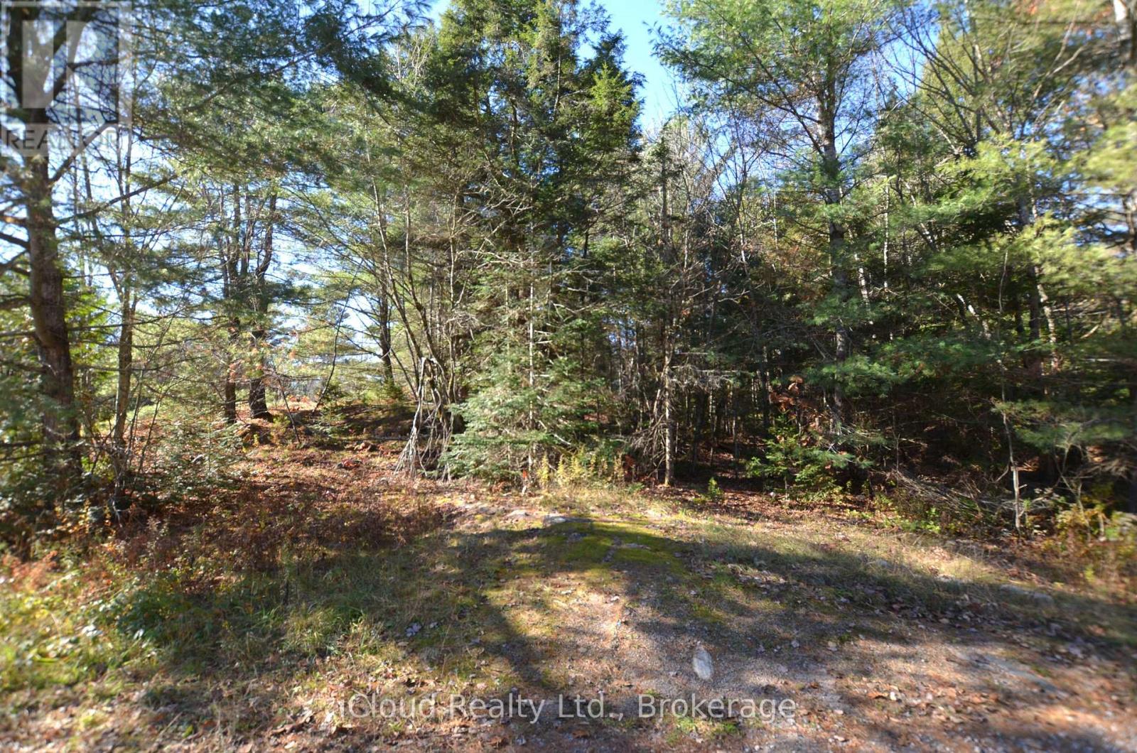 3 And 2 Parker Bay Road, Whitestone, Ontario  P0G 1G0 - Photo 30 - X12485040