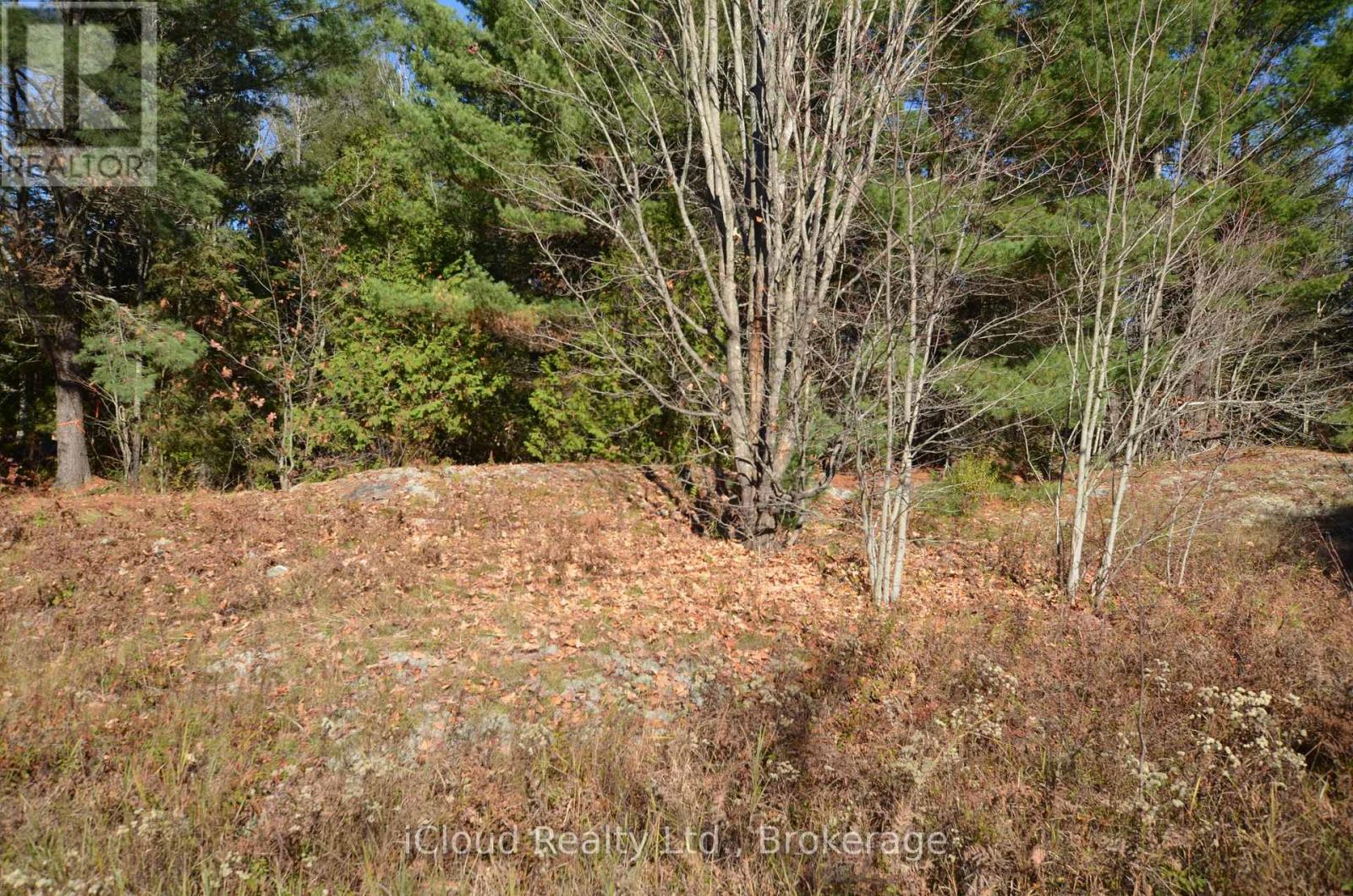 3 And 2 Parker Bay Road, Whitestone, Ontario  P0G 1G0 - Photo 26 - X12485040