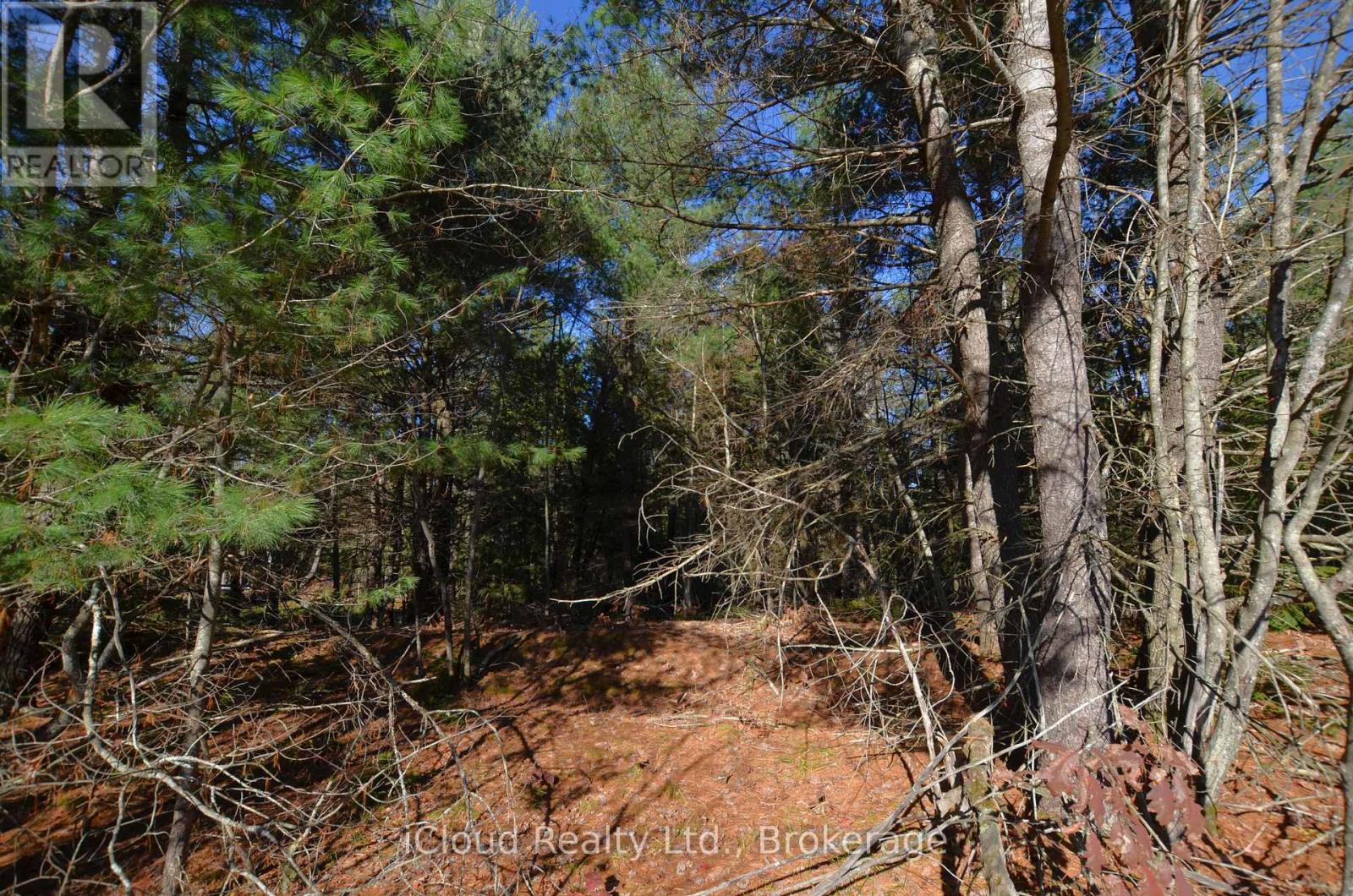 3 And 2 Parker Bay Road, Whitestone, Ontario  P0G 1G0 - Photo 28 - X12485040