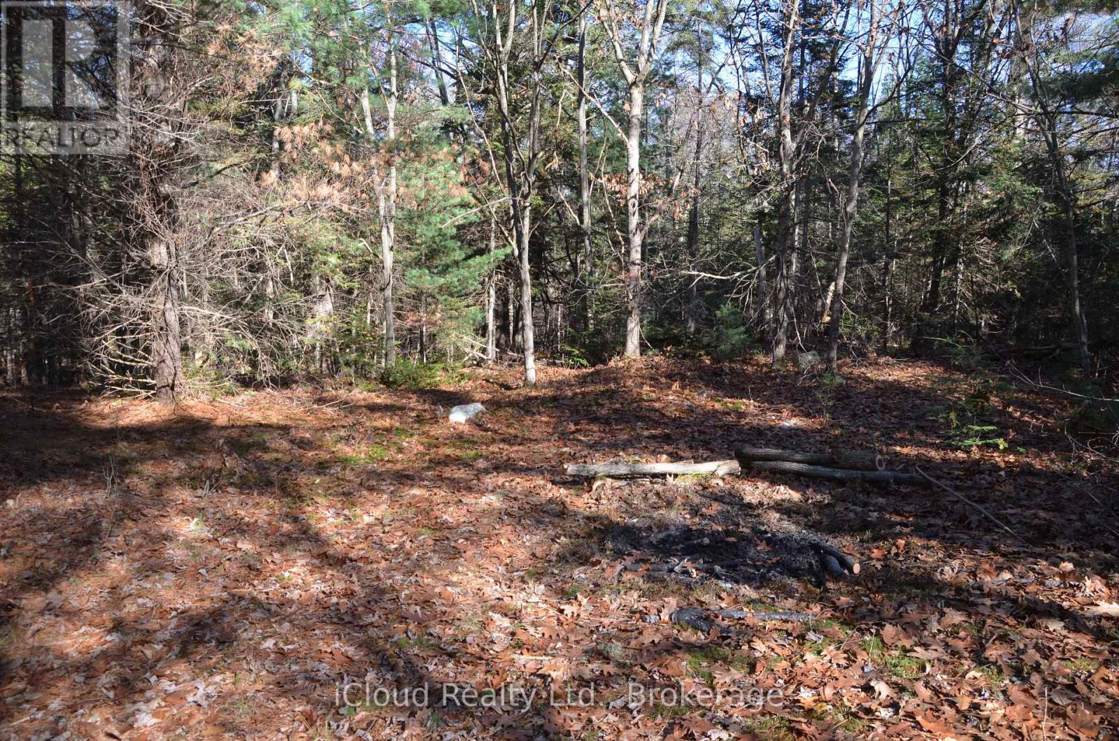 3 And 2 Parker Bay Road, Whitestone, Ontario  P0G 1G0 - Photo 22 - X12485040