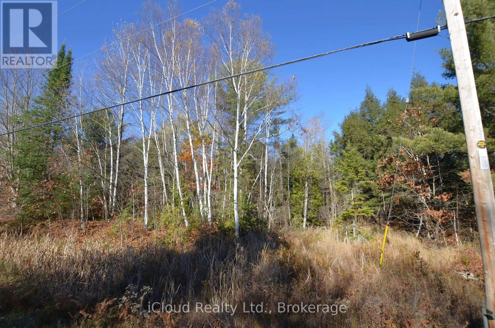 3 Parker Bay Road, Whitestone, Ontario  P0G 1G0 - Photo 11 - X12485037