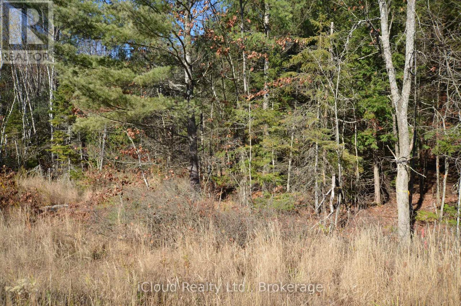 3 Parker Bay Road, Whitestone, Ontario  P0G 1G0 - Photo 15 - X12485037