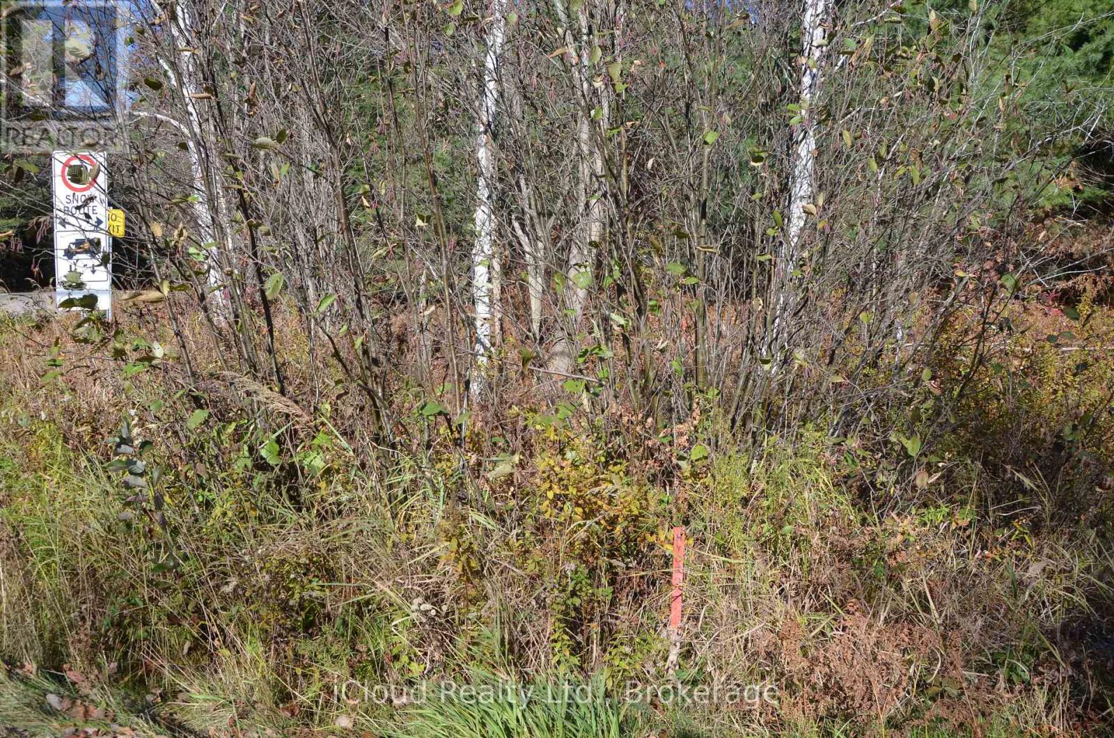 3 Parker Bay Road, Whitestone, Ontario  P0G 1G0 - Photo 31 - X12485037