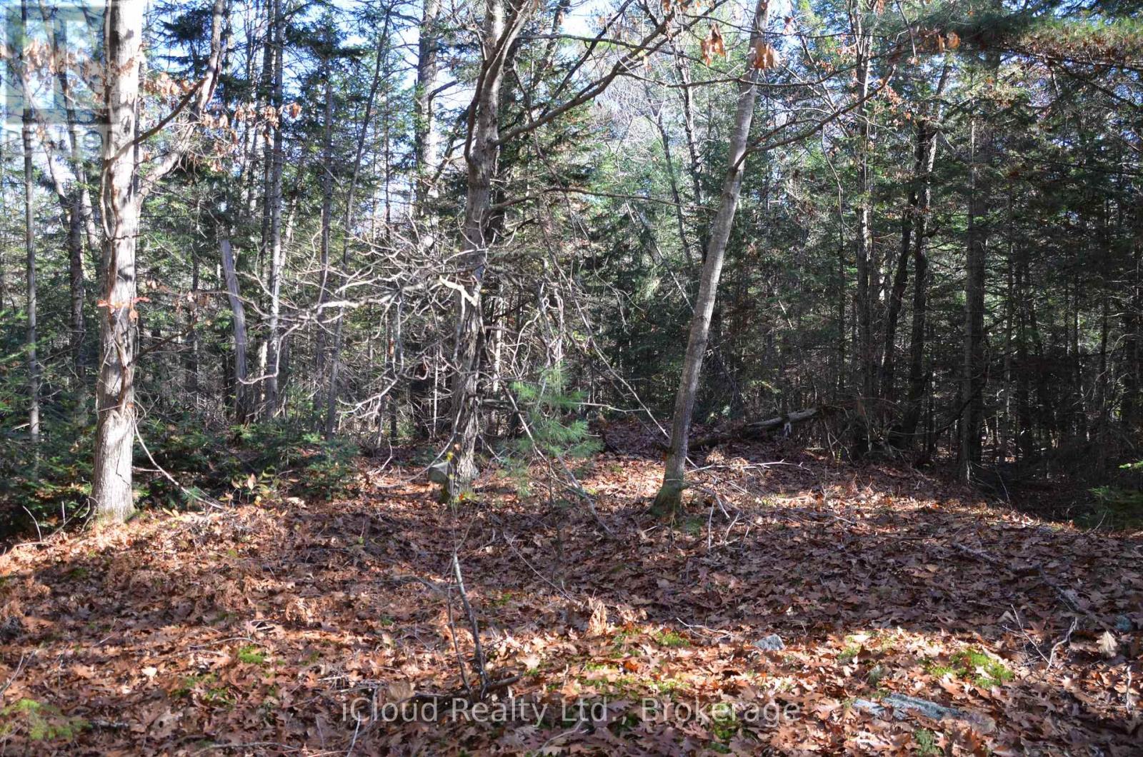 3 Parker Bay Road, Whitestone, Ontario  P0G 1G0 - Photo 24 - X12485037