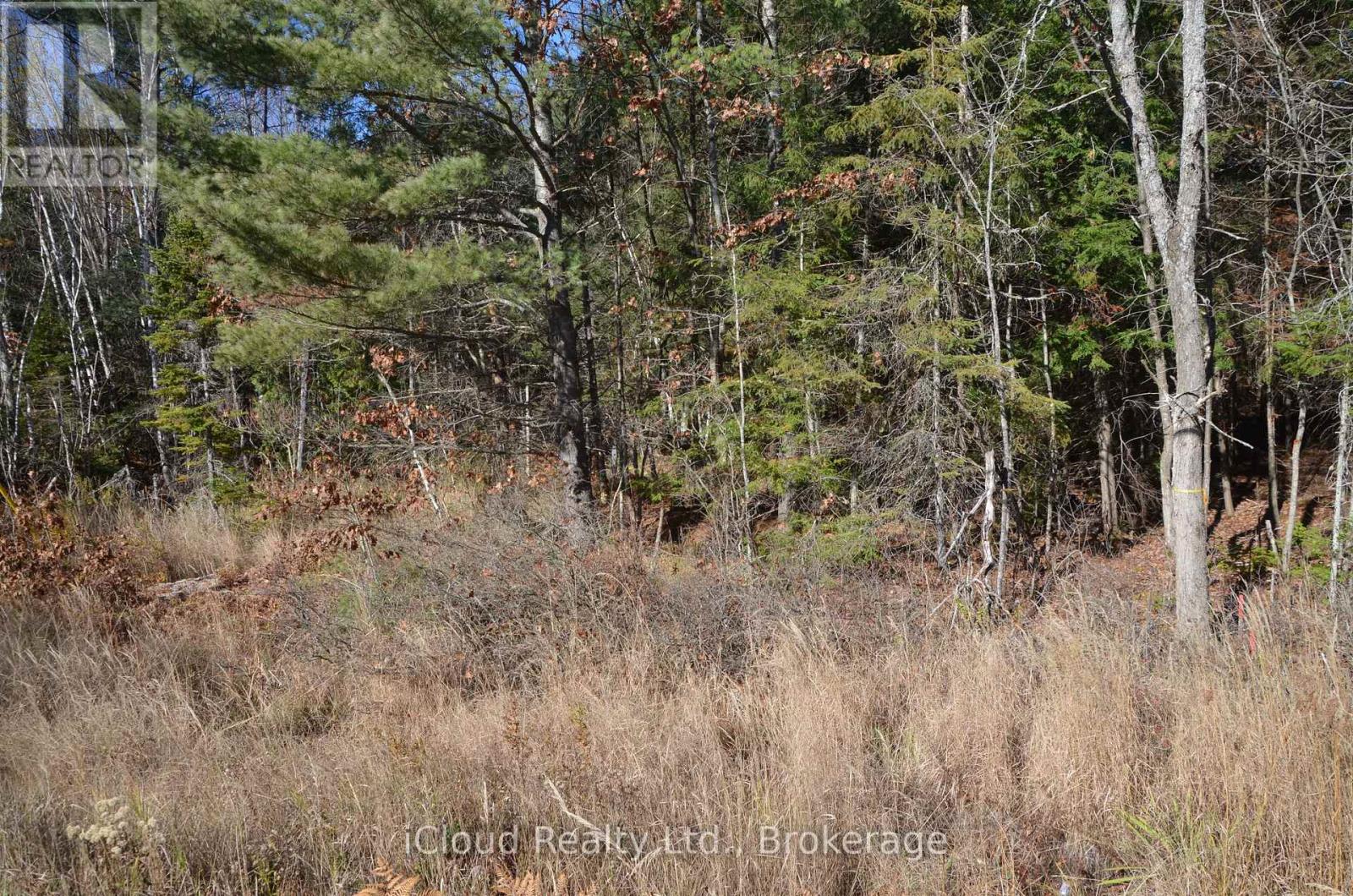 3 Parker Bay Road, Whitestone, Ontario  P0G 1G0 - Photo 33 - X12485037