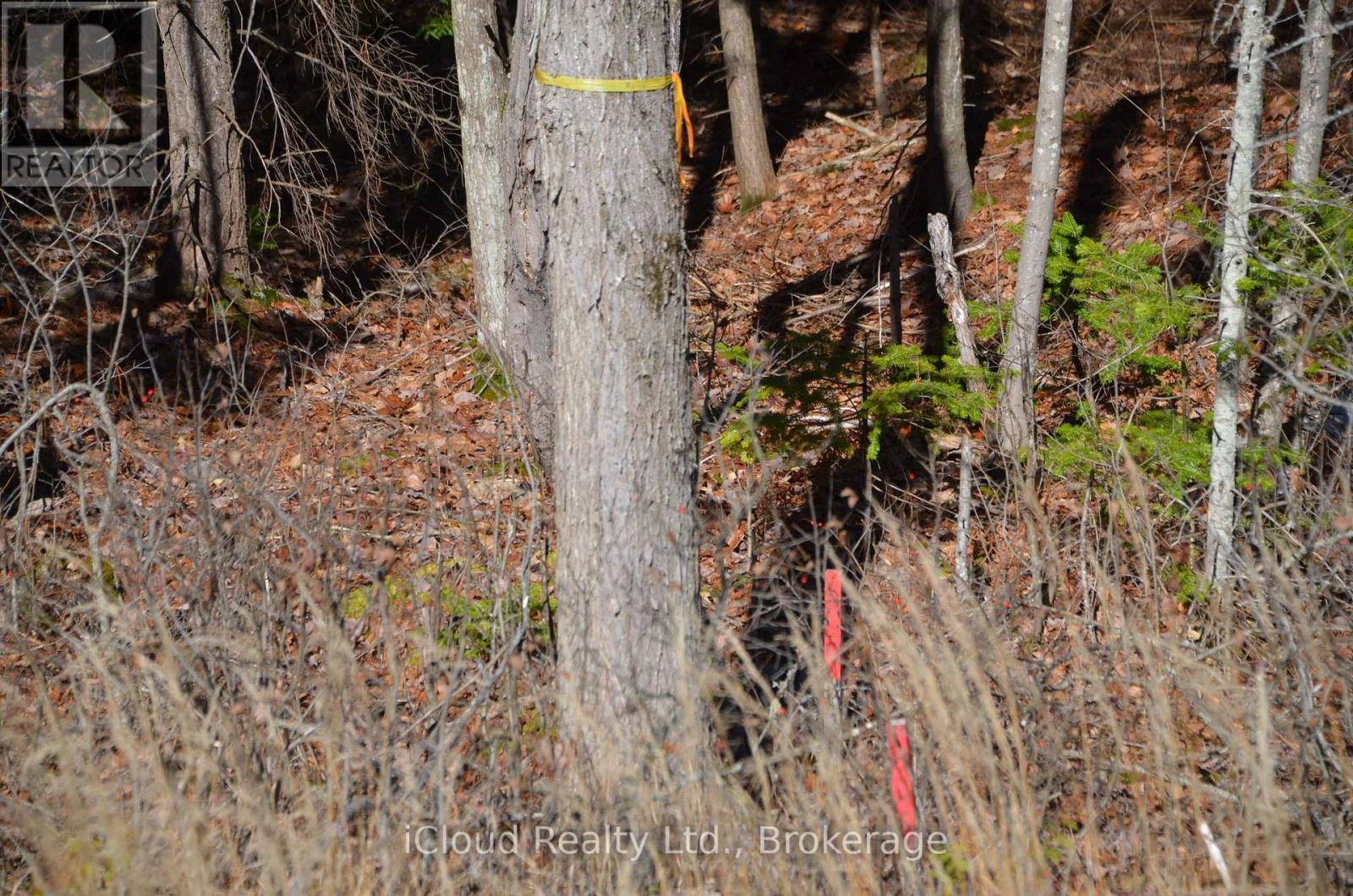 3 Parker Bay Road, Whitestone, Ontario  P0G 1G0 - Photo 32 - X12485037