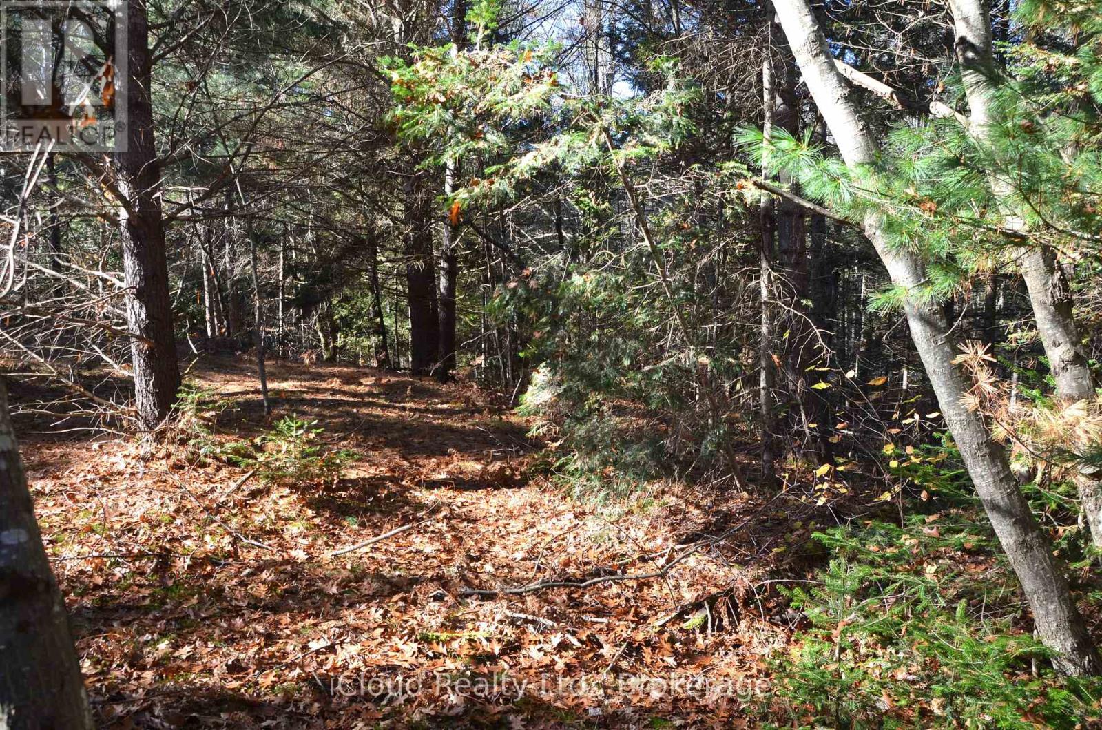 3 Parker Bay Road, Whitestone, Ontario  P0G 1G0 - Photo 27 - X12485037