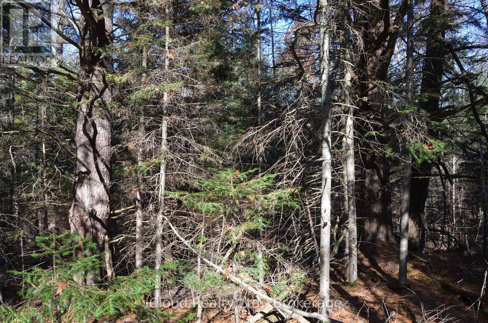 3 Parker Bay Road, Whitestone, Ontario  P0G 1G0 - Photo 25 - X12485037