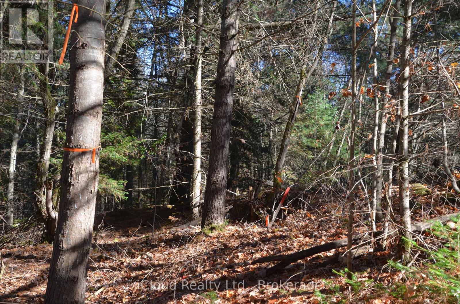 3 Parker Bay Road, Whitestone, Ontario  P0G 1G0 - Photo 29 - X12485037