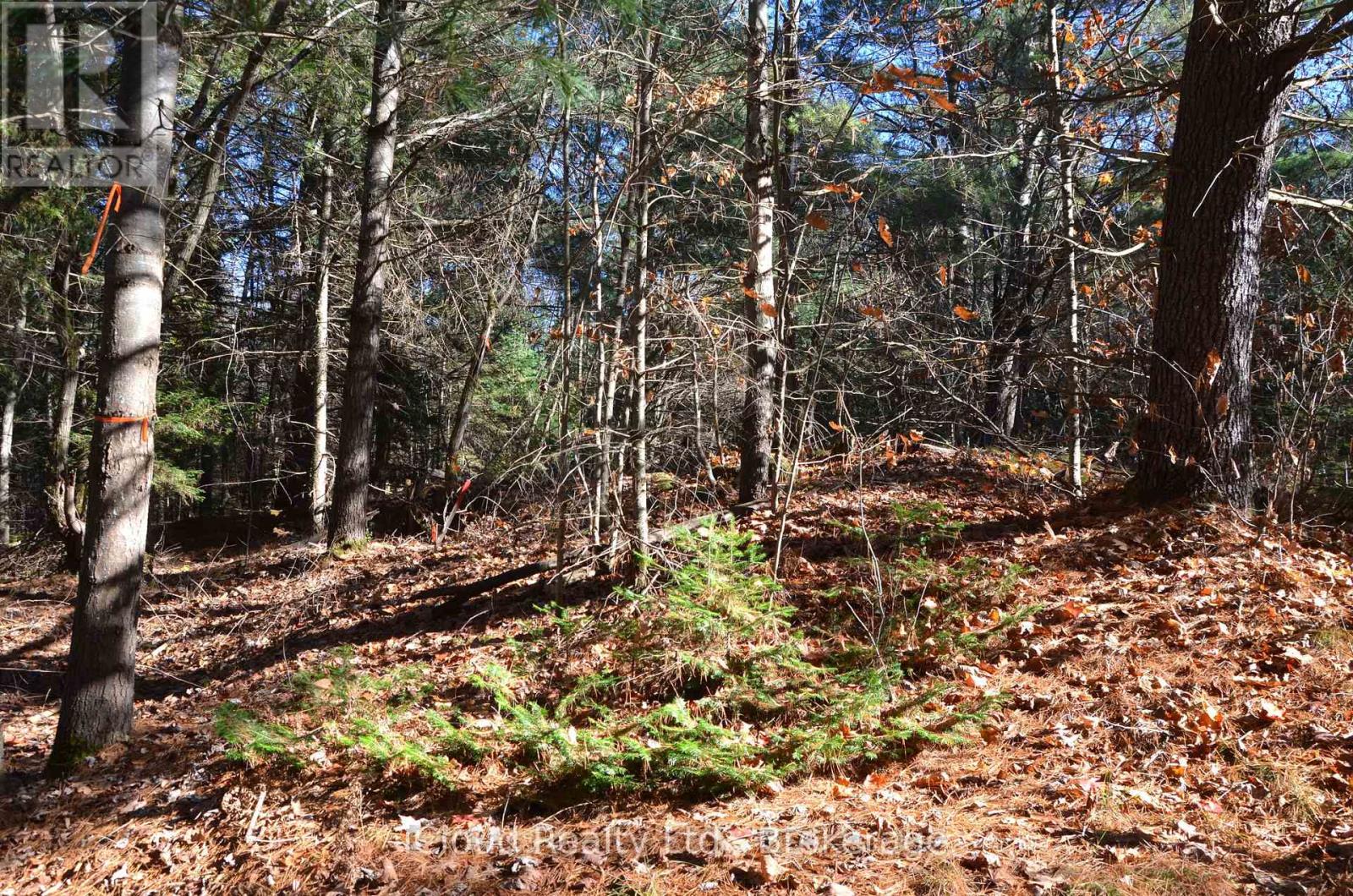 3 Parker Bay Road, Whitestone, Ontario  P0G 1G0 - Photo 30 - X12485037