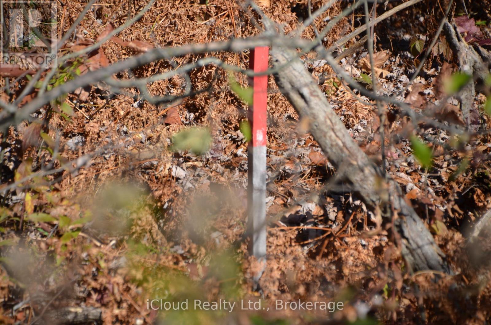 3 Parker Bay Road, Whitestone, Ontario  P0G 1G0 - Photo 36 - X12485037