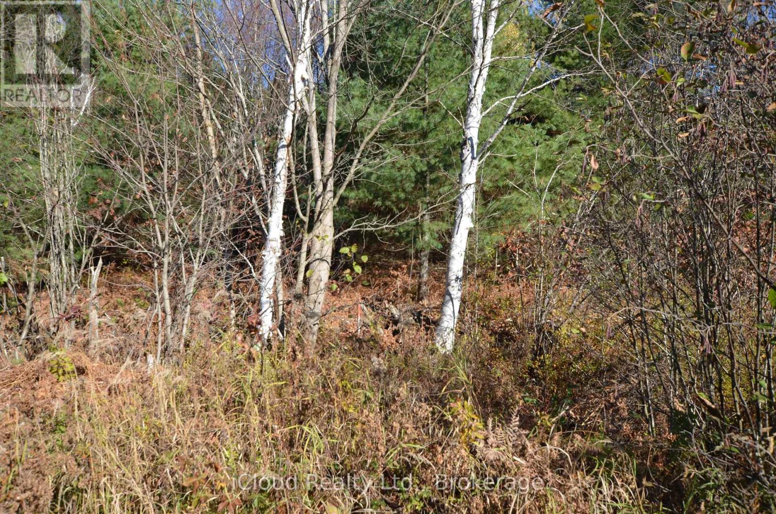 3 Parker Bay Road, Whitestone, Ontario  P0G 1G0 - Photo 9 - X12485037