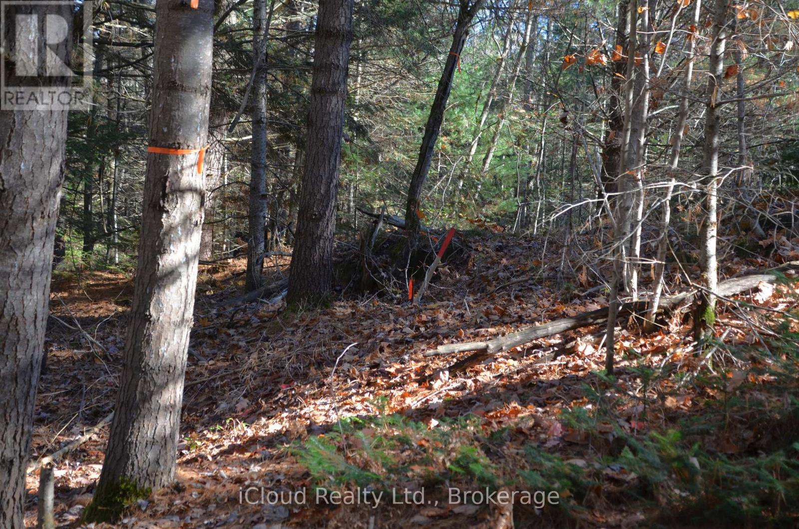 3 Parker Bay Road, Whitestone, Ontario  P0G 1G0 - Photo 5 - X12485037