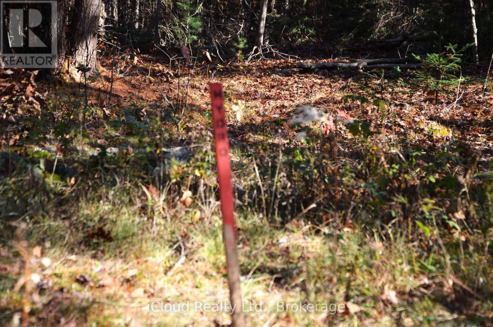 3 Parker Bay Road, Whitestone, Ontario  P0G 1G0 - Photo 6 - X12485037