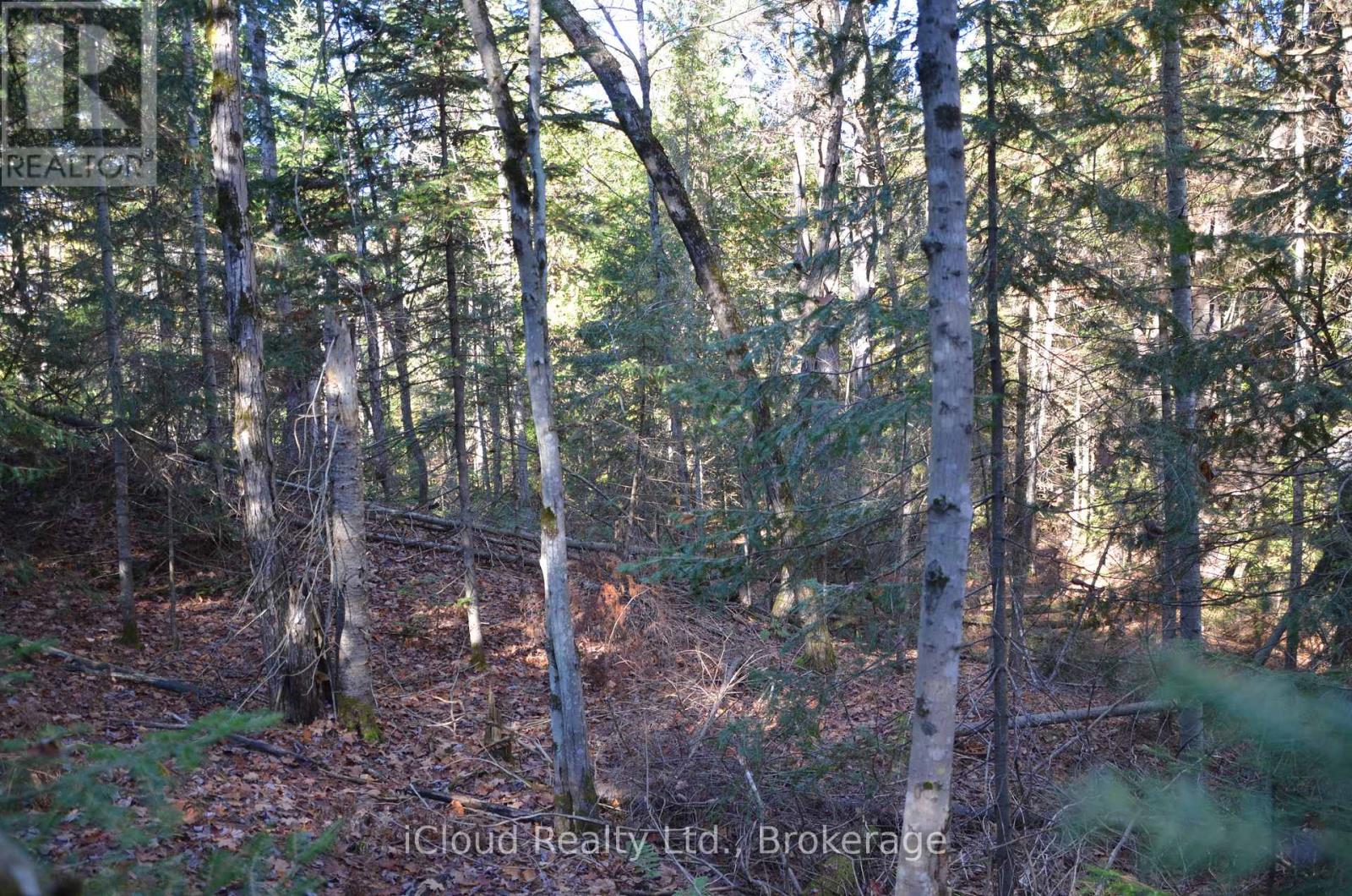 2 Parker Bay Road, Whitestone, Ontario  P0A 1G0 - Photo 20 - X12485041