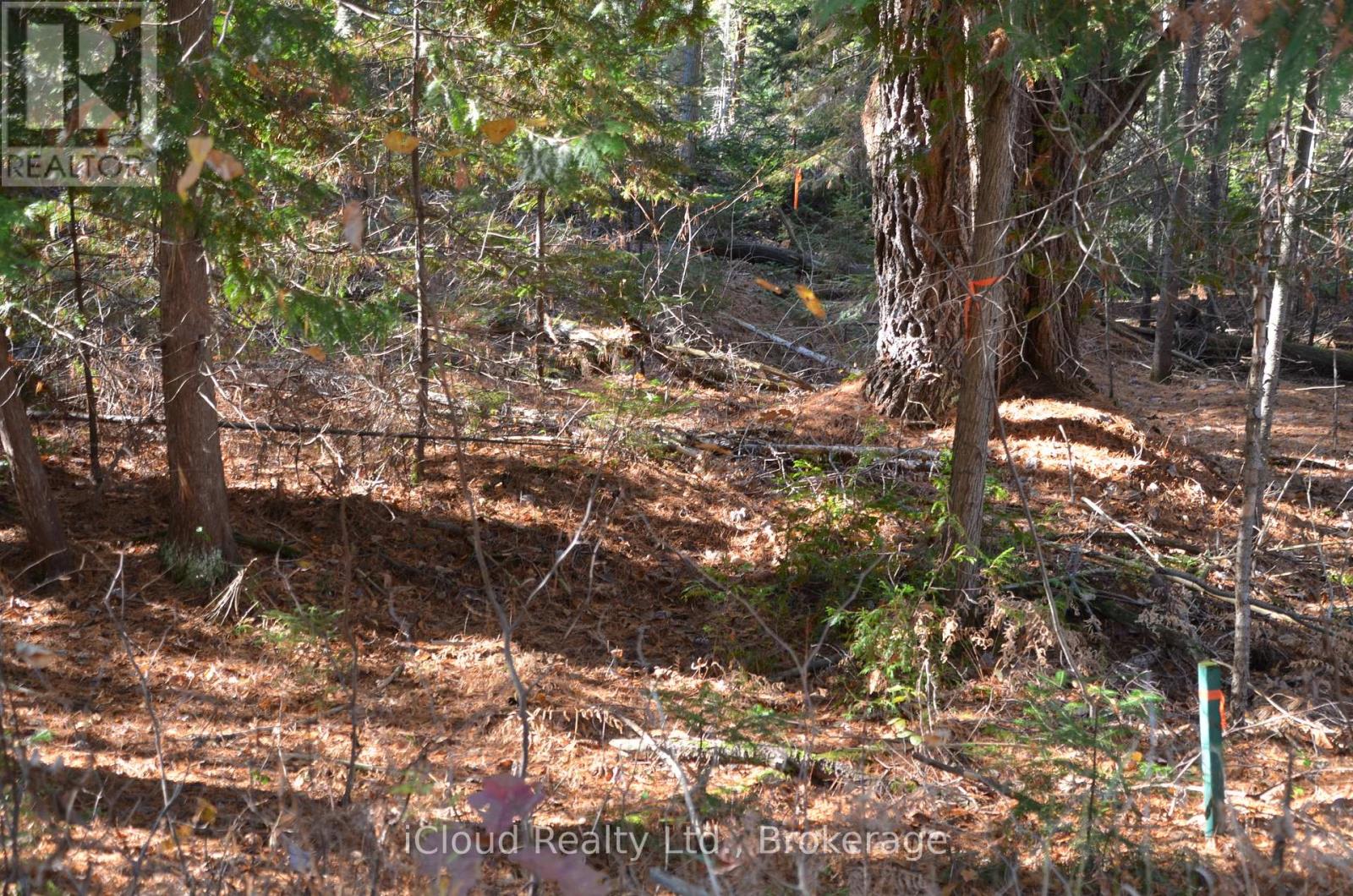 2 Parker Bay Road, Whitestone, Ontario  P0A 1G0 - Photo 22 - X12485041