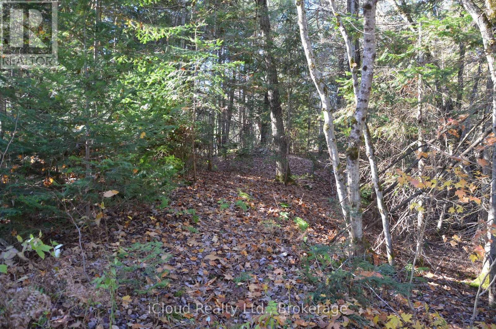 2 Parker Bay Road, Whitestone, Ontario  P0A 1G0 - Photo 18 - X12485041