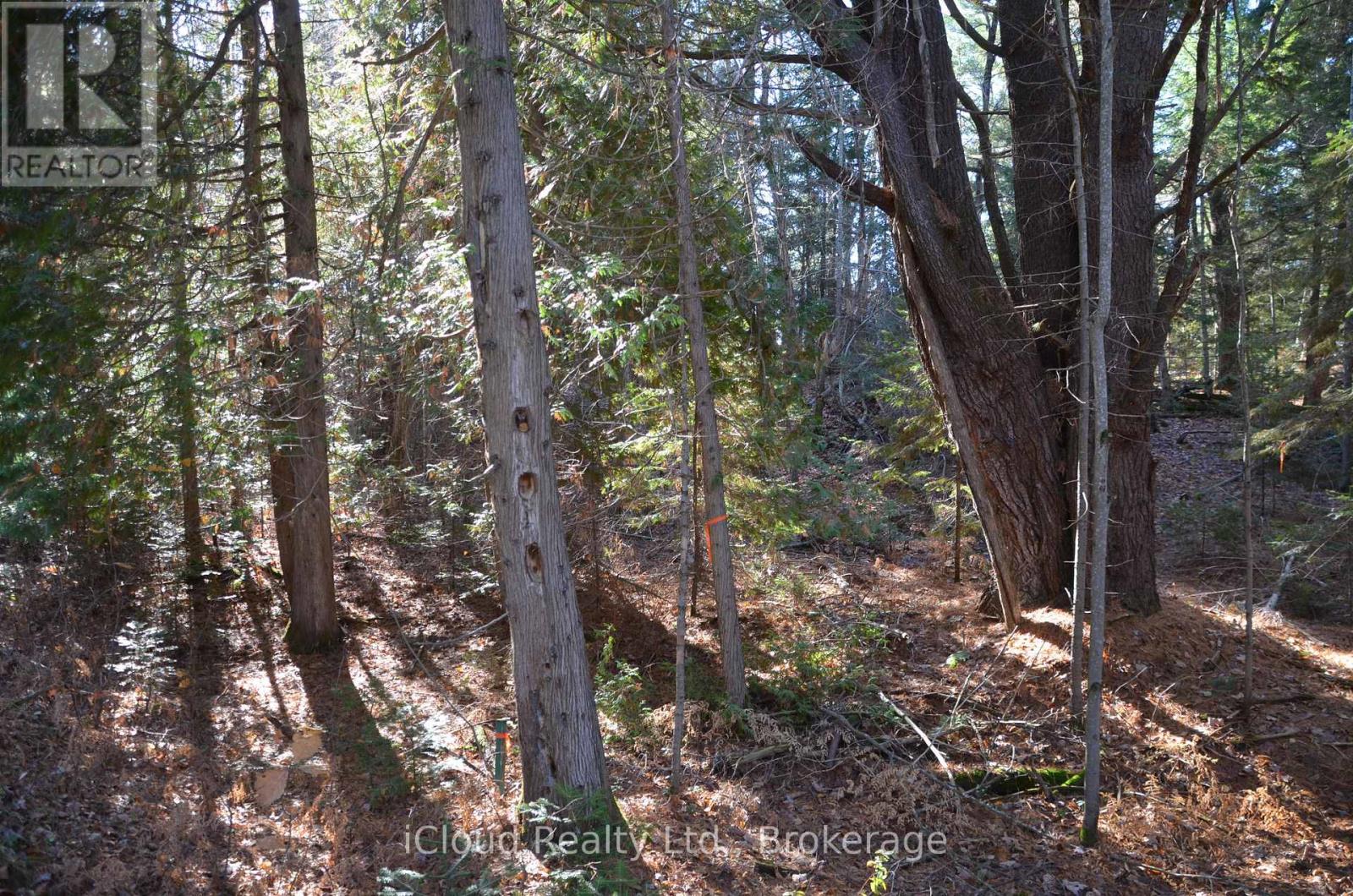 2 Parker Bay Road, Whitestone, Ontario  P0A 1G0 - Photo 23 - X12485041