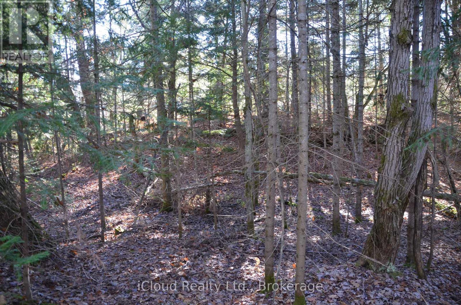 2 Parker Bay Road, Whitestone, Ontario  P0A 1G0 - Photo 19 - X12485041