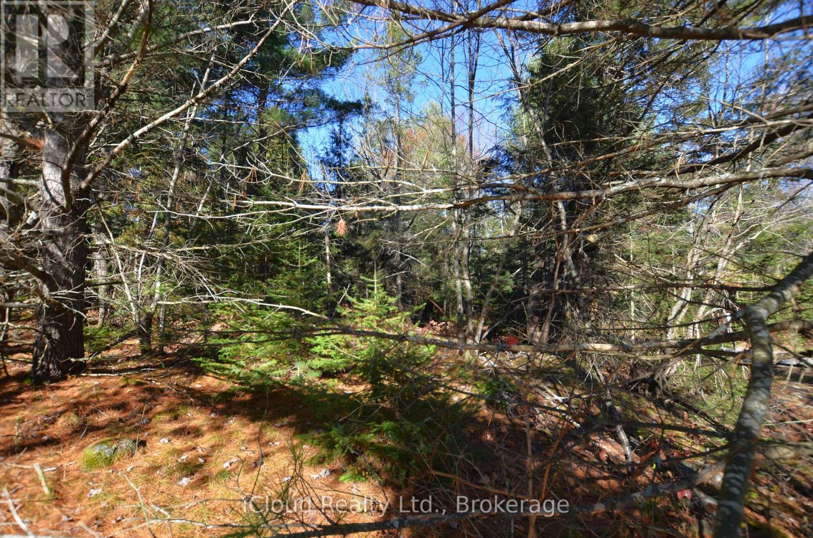 2 Parker Bay Road, Whitestone, Ontario  P0A 1G0 - Photo 16 - X12485041