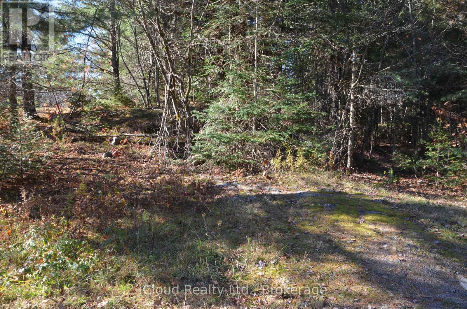 2 Parker Bay Road, Whitestone, Ontario  P0A 1G0 - Photo 12 - X12485041
