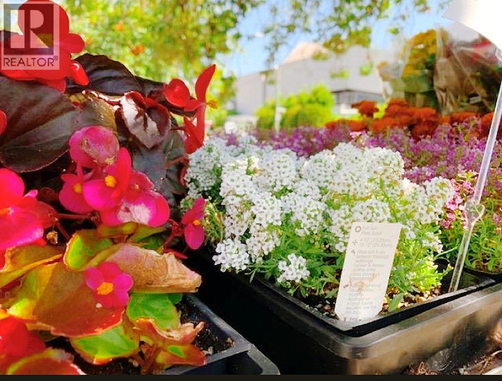 7477 Victoria Street, Vancouver, British Columbia  V5P 3Z5 - Photo 8 - C8073421