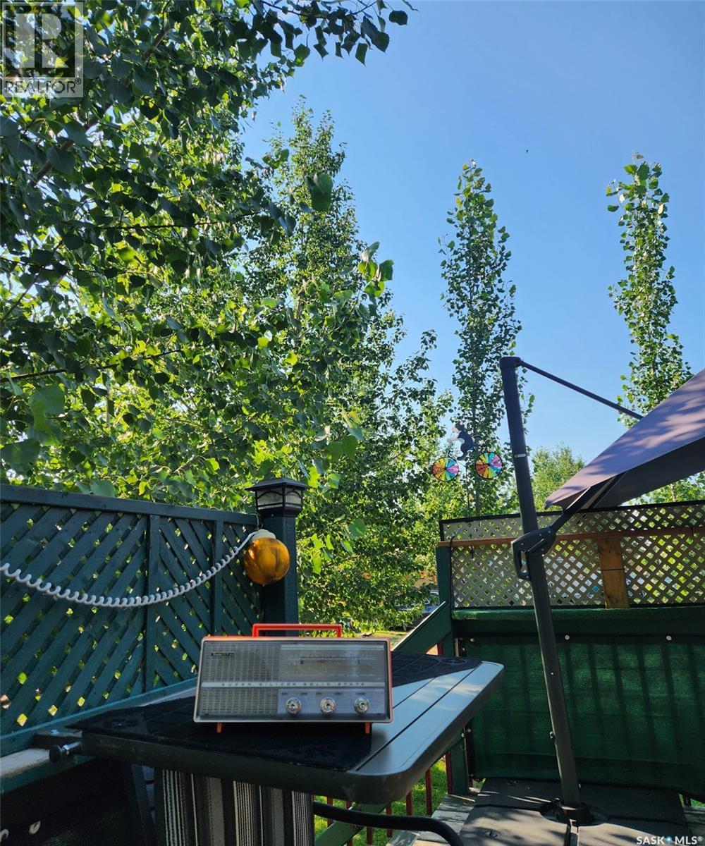 507 Rv Drive, Loreburn Rm No. 254, Saskatchewan  S0H 1J0 - Photo 22 - SK021769