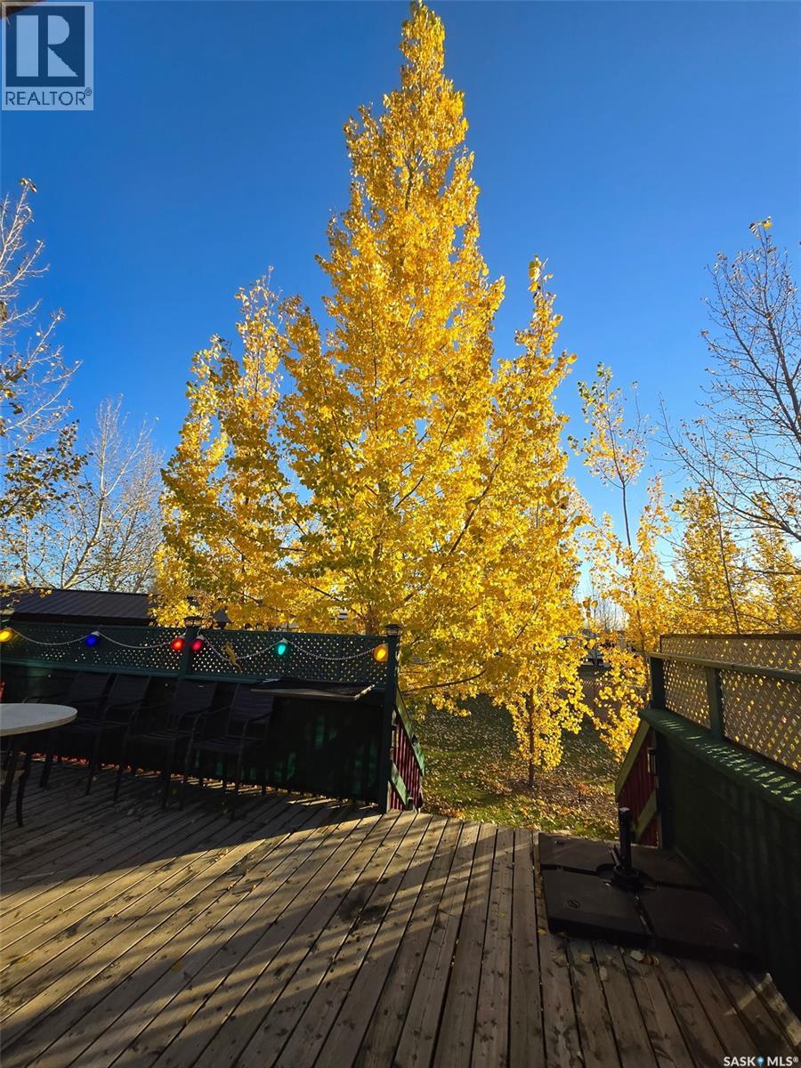 507 Rv Drive, Loreburn Rm No. 254, Saskatchewan  S0H 1J0 - Photo 23 - SK021769