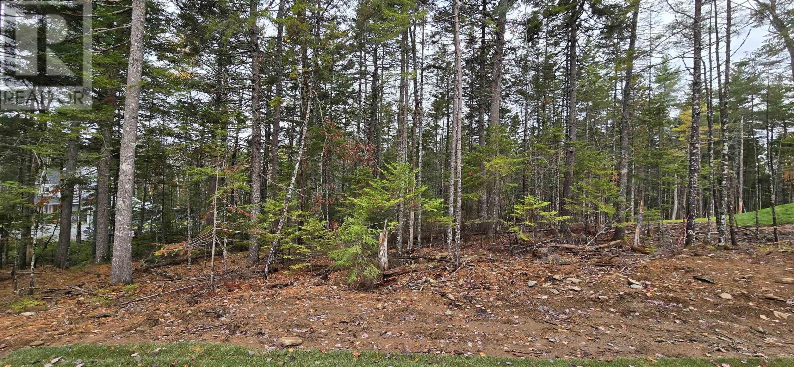 60 Quail Ridge, Beaver Bank, Nova Scotia  B4G 0C8 - Photo 15 - 202512501