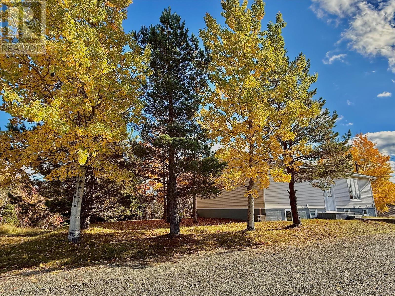 2 Meade View Road, Clarenville, Newfoundland & Labrador  A5A 4M4 - Photo 2 - 1292013