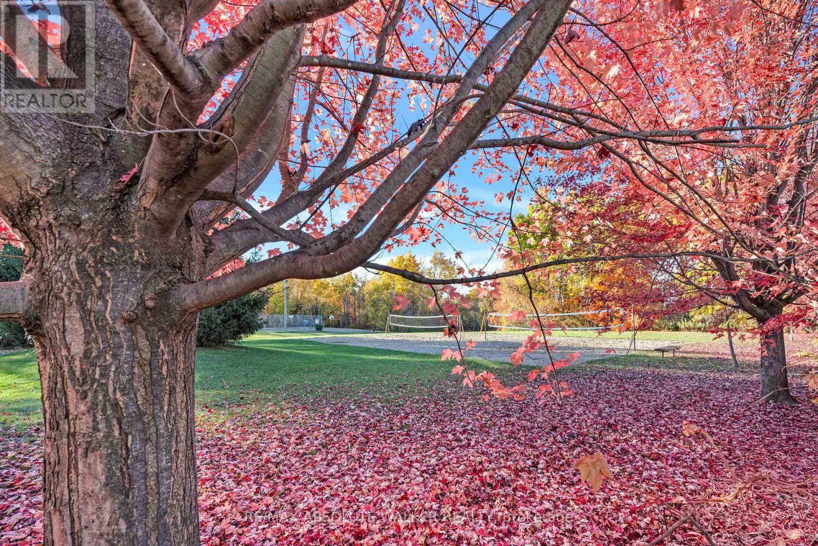 126 Forestcrest Street, Ottawa, Ontario  K1C 7R3 - Photo 41 - X12487113