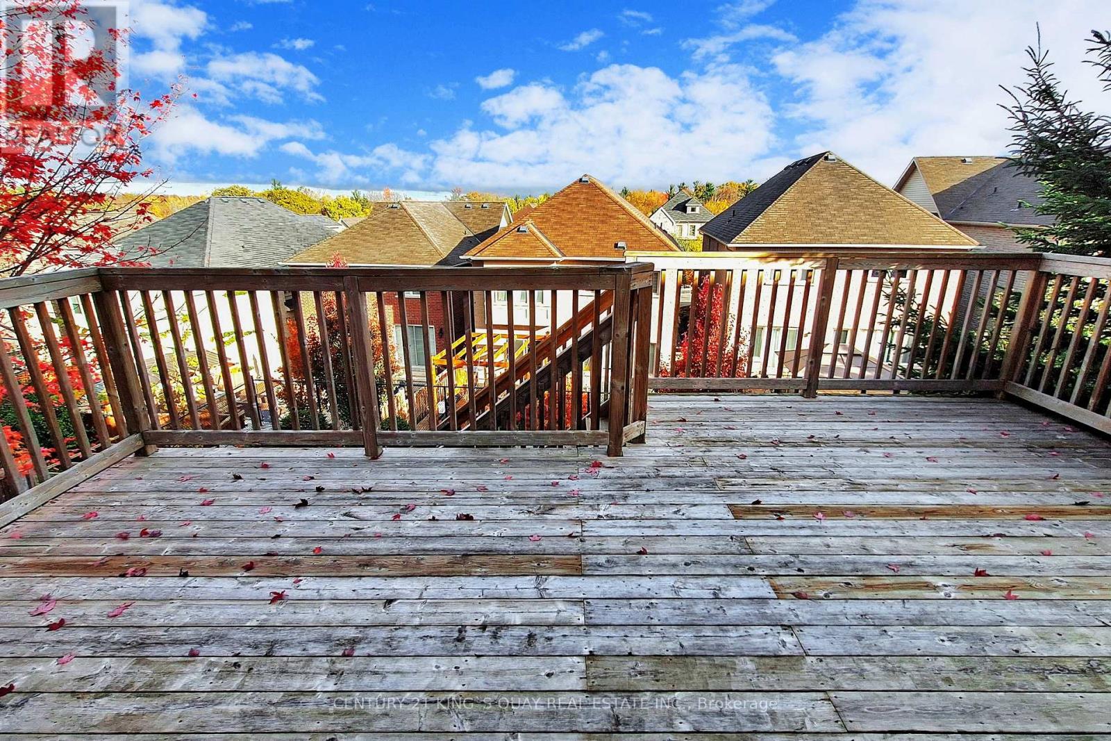 220 Karl Rose Trail, Newmarket, Ontario  L3X 3J3 - Photo 48 - N12483877